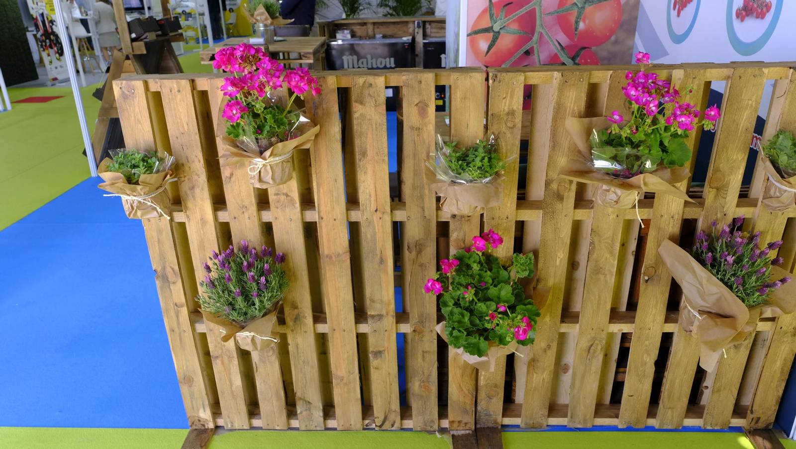 Imágenes del segundo día de Expolevante Níjar 2024