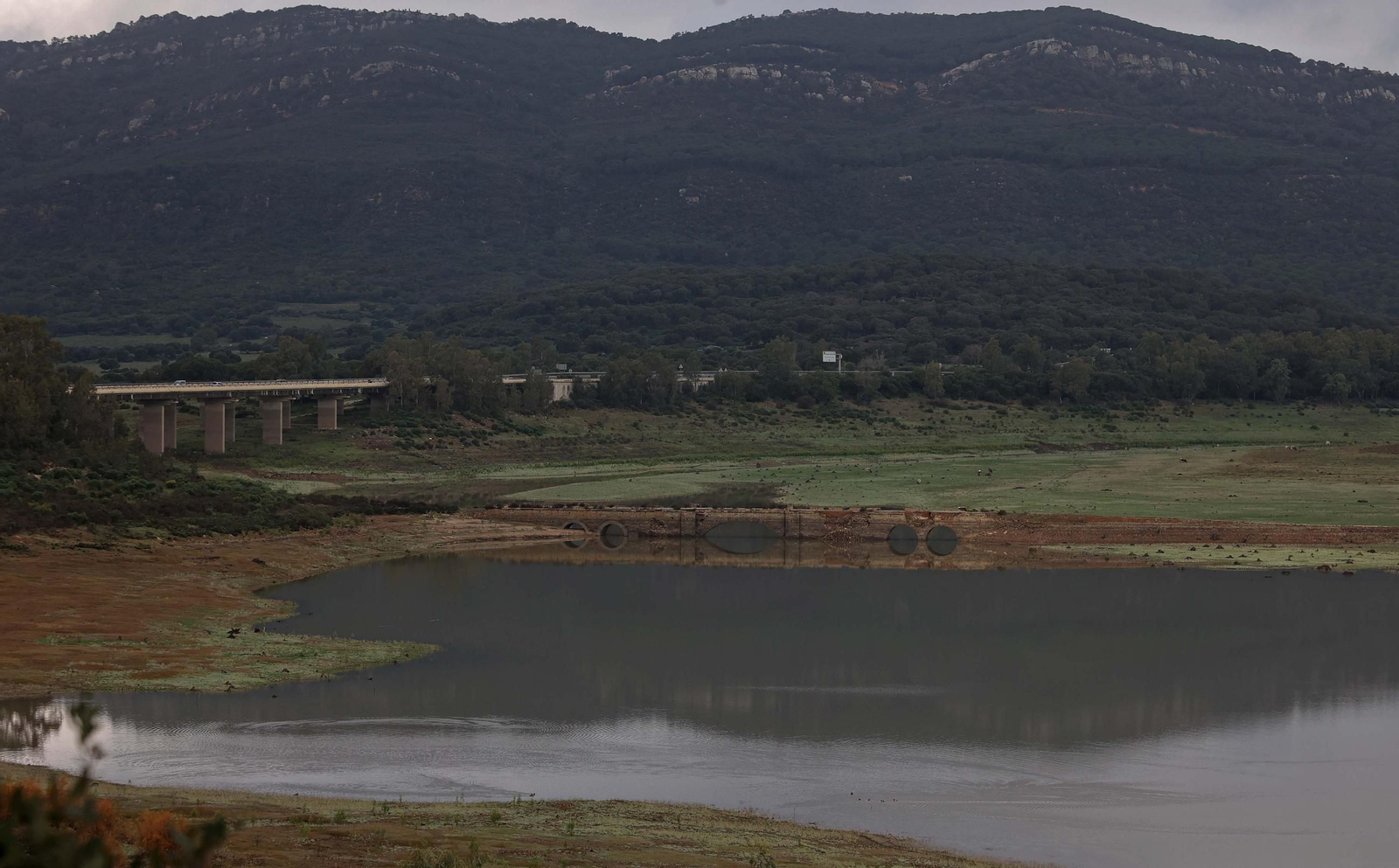 Fotos del pantano de Charco Redondo en Los Barrios