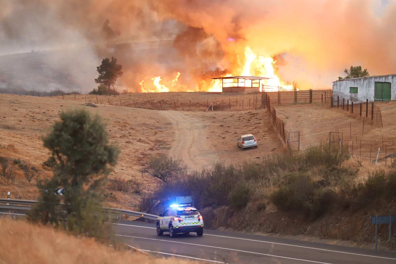 Imágenes del incendio en Almonaster La Real