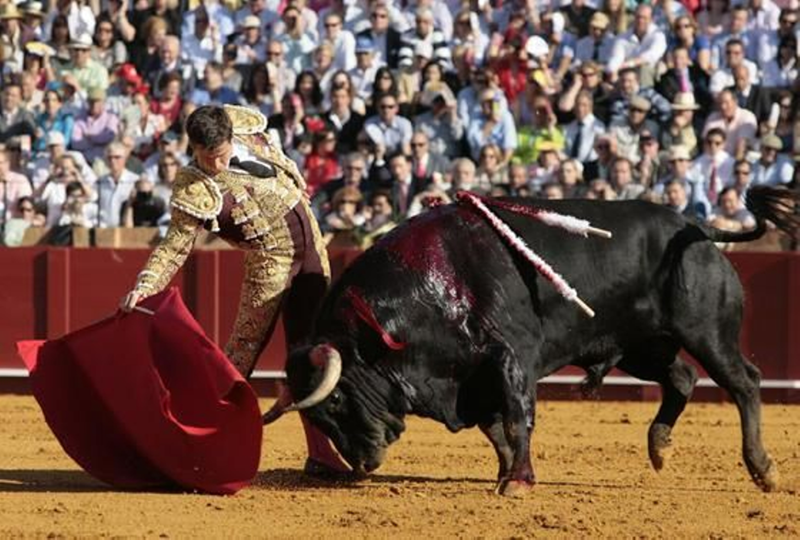 El Juli con el primero de la tarde en la treceava del abono de La Maestranza.

Foto: Juan Carlos Muñoz