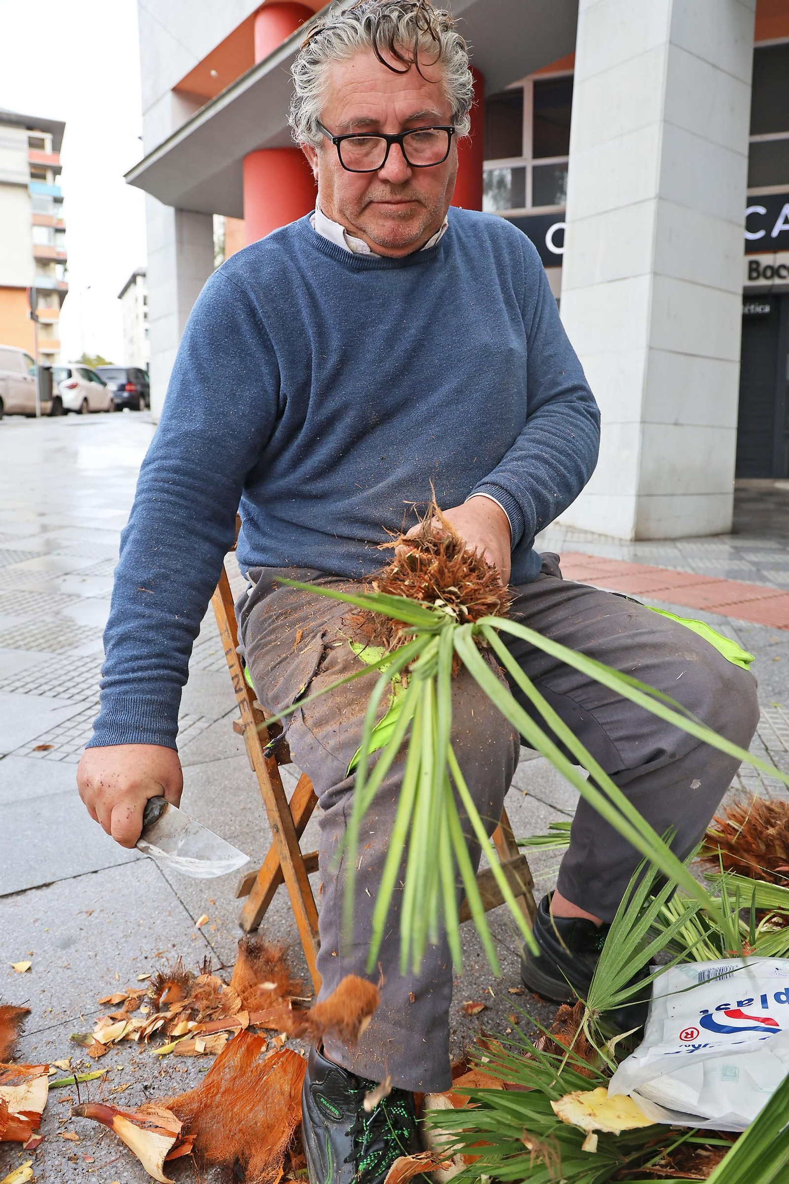 Palmitos en Huelva por San Sebastián