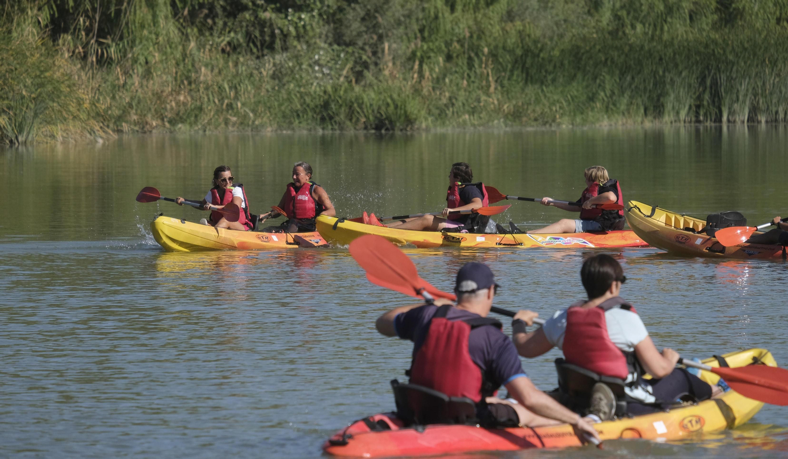 La ruta en kayak por el Guadalquivir de Córdoba se echa al agua, en imágenes