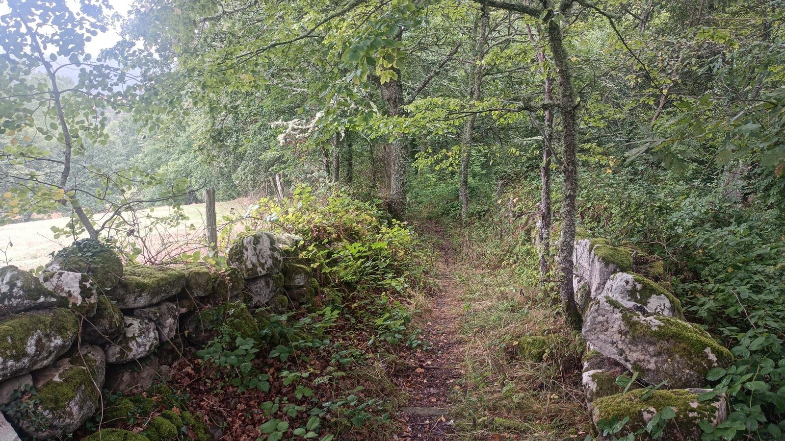 Bonito sendero flanqueado por muretes.