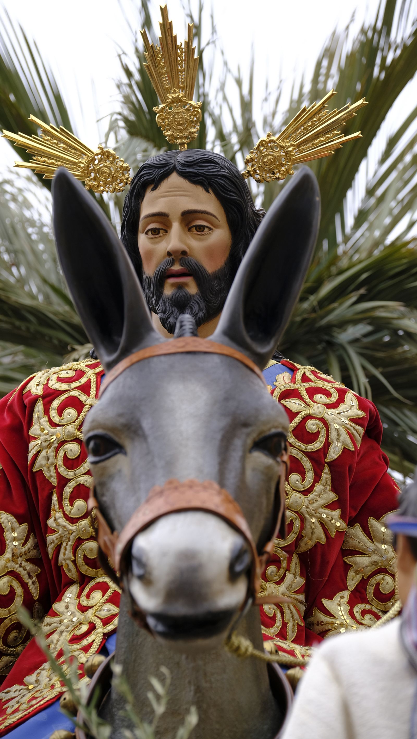 La Borriquita procesiona por las calles de Almería, en imágenes