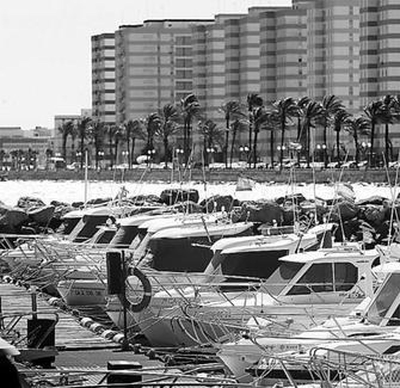 Imagen de uno de los pantalanes del club Viento de Levante.