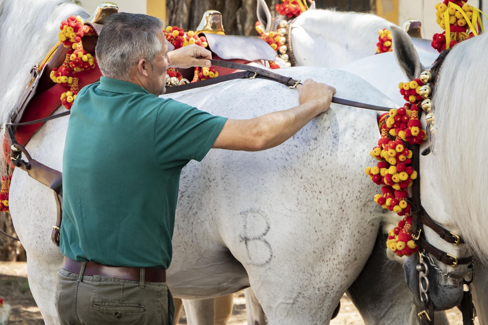Final del concurso de Doma Vaquera 2023 en el Depósito de Sementales