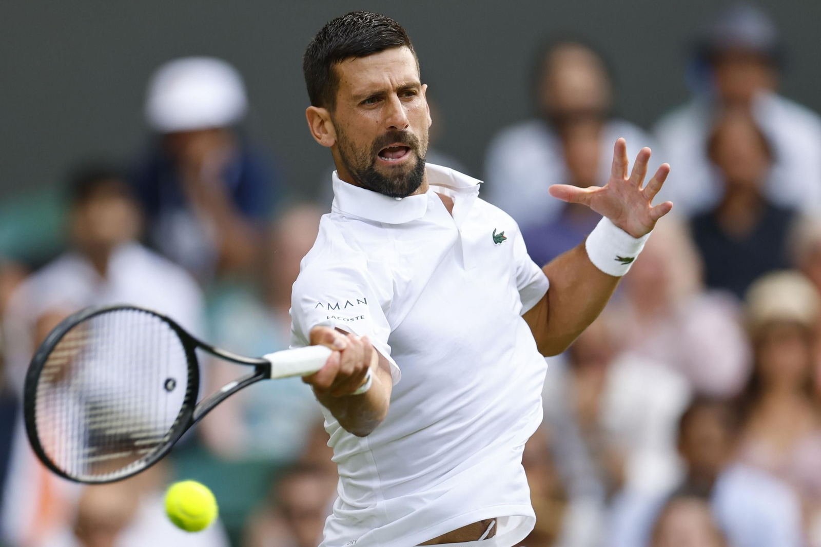 Las fotos de Wimbledon con las clasificaciones de Djokovic y Sinner
