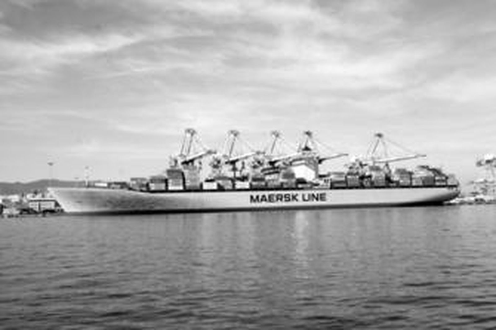 El 'Elly Maersk' atracado en el muelle algecireño.