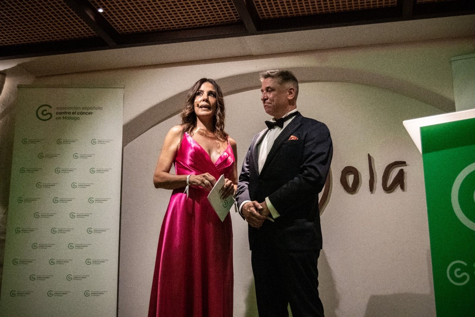 La gala anual de la Asociación Española Contra el Cáncer de Málaga, en imágenes