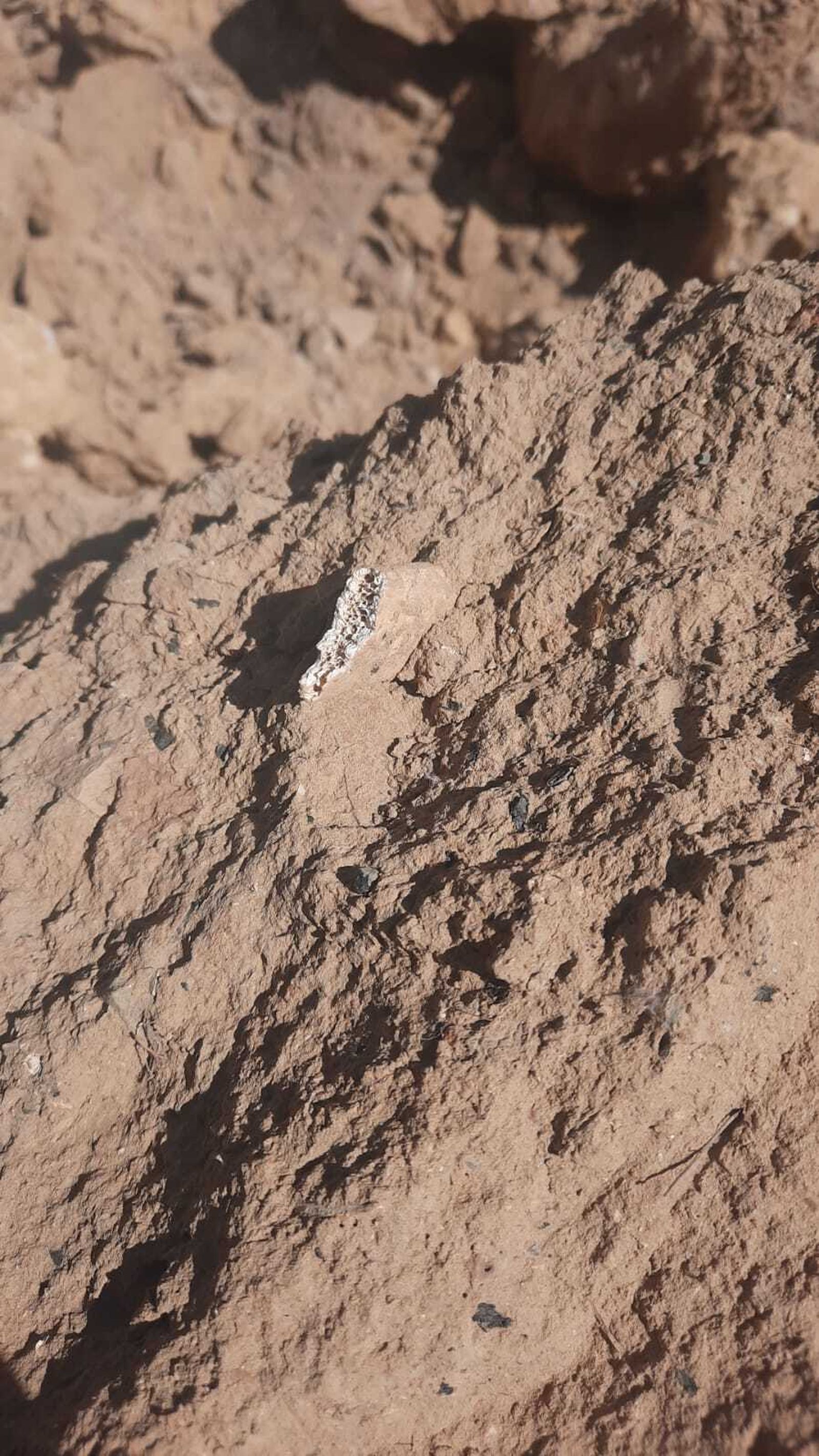 Restos arqueológicos aparecidos en el cabezo de San Pedro de Huelva.