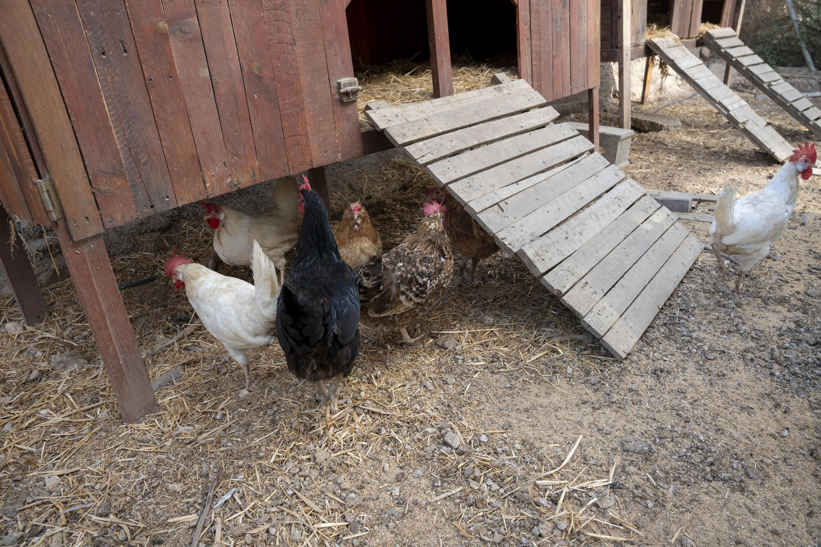 Visitamos el IES Sol de Portocarrero de La Cañada de San Urbano para ver las nuevas infraestructuras para FP en los centros educativos de la provincia de Almería, en imágenes
