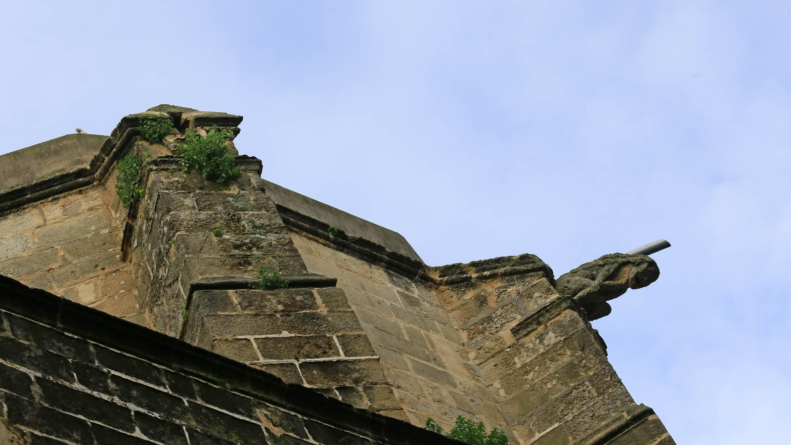 Mes en imágenes: Enero