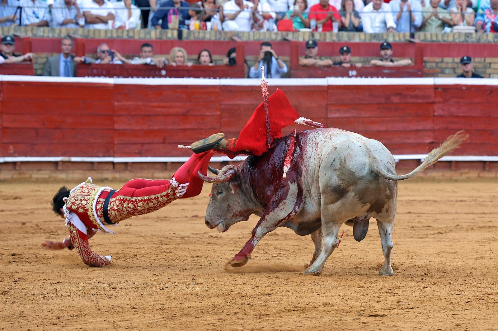 Toros La Merced: Imágenes de la corrida de David de Miranda, Roca Rey y Manzanare