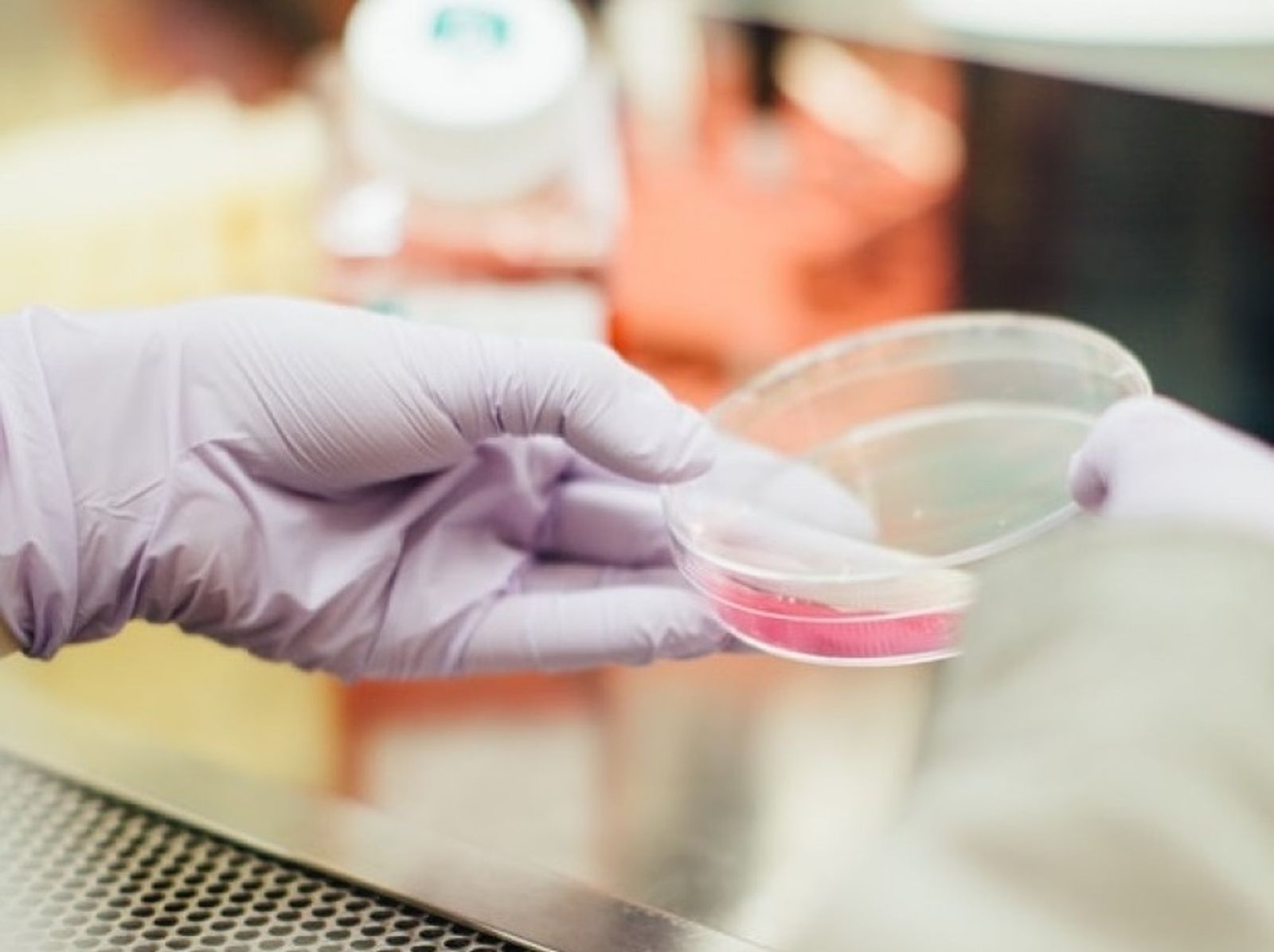 Ensayo en un laboratorio.