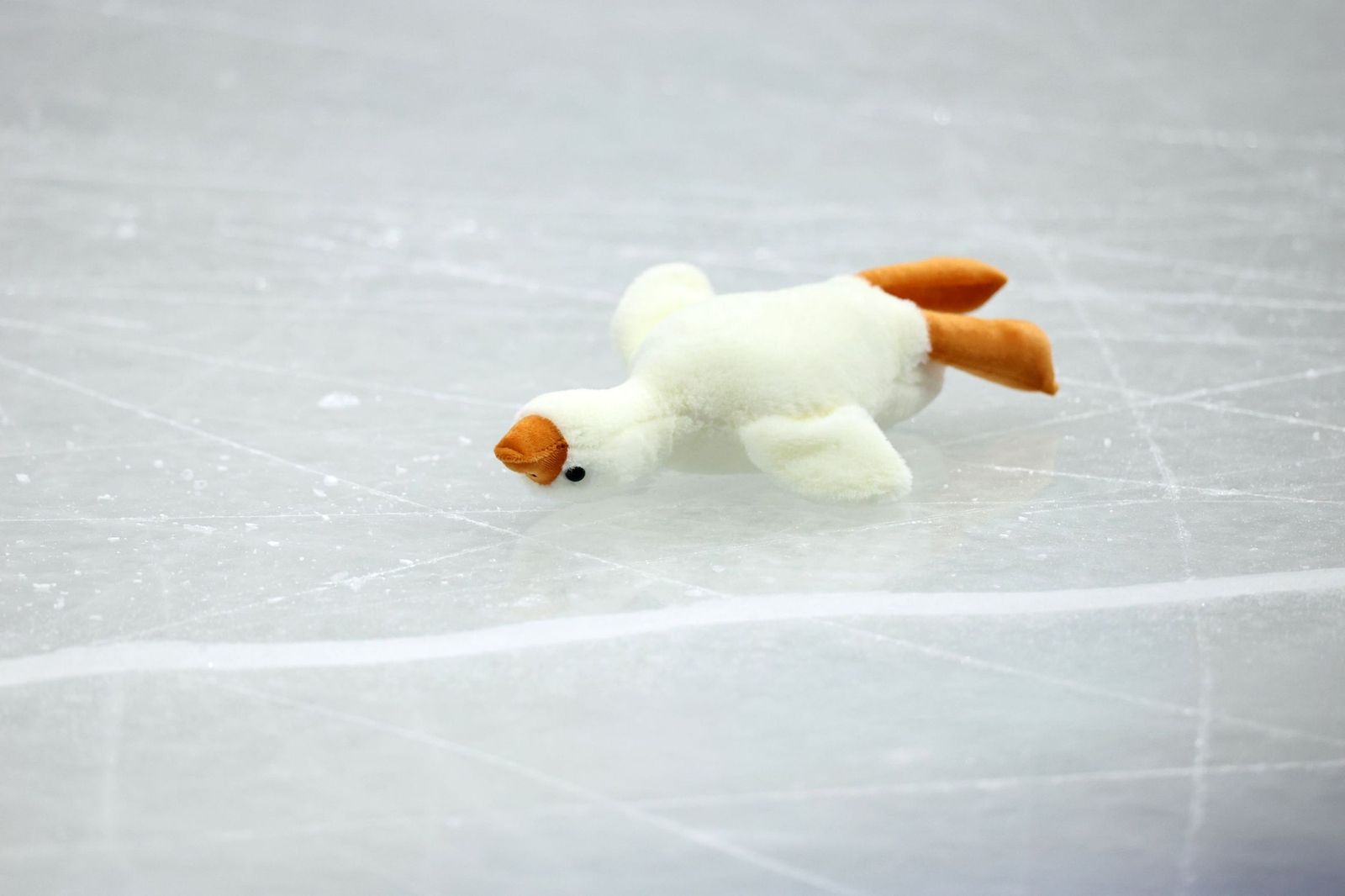 Las mejores fotos de los Juegos Olímpicos de invierno Milán Cortina d'Ampezzo 2026 | Octava jornada