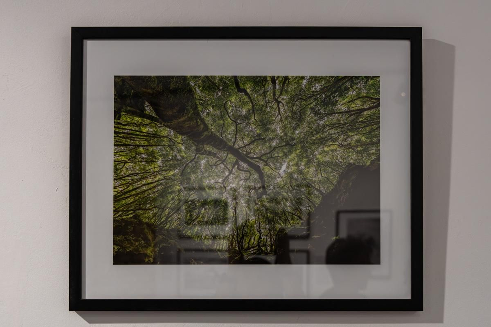 Exposición La Tierra, corazón de la vida, en imágenes