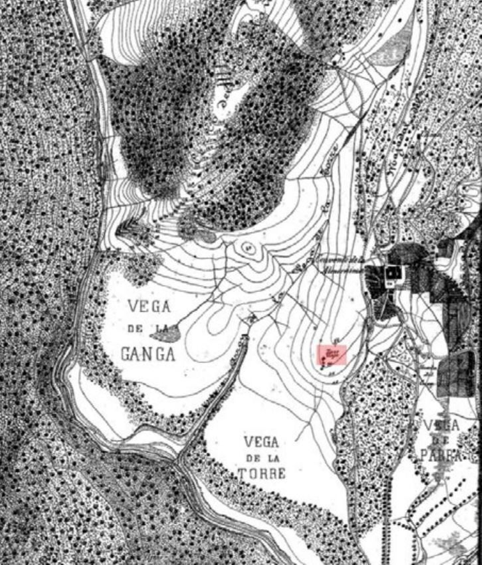 . Fragmento del plano del convento de La  Almoraima realizado por Jacobo García. Comandancia  de Ingenieros del Campo de Gibraltar, Algeciras 1904. ©  Museo de la Región Militar Sur, sigla 5393. Sitúa la vega de  la torre y la “torre vieja” sin el cuartel.
