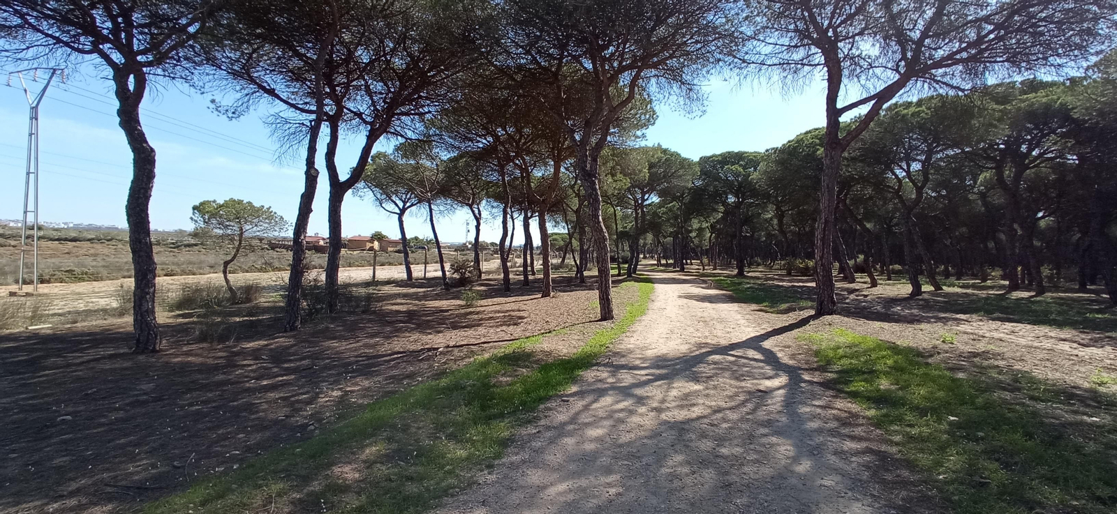 Las imágenes de la ruta de las salinas del Astur y los pinares de Punta Umbría