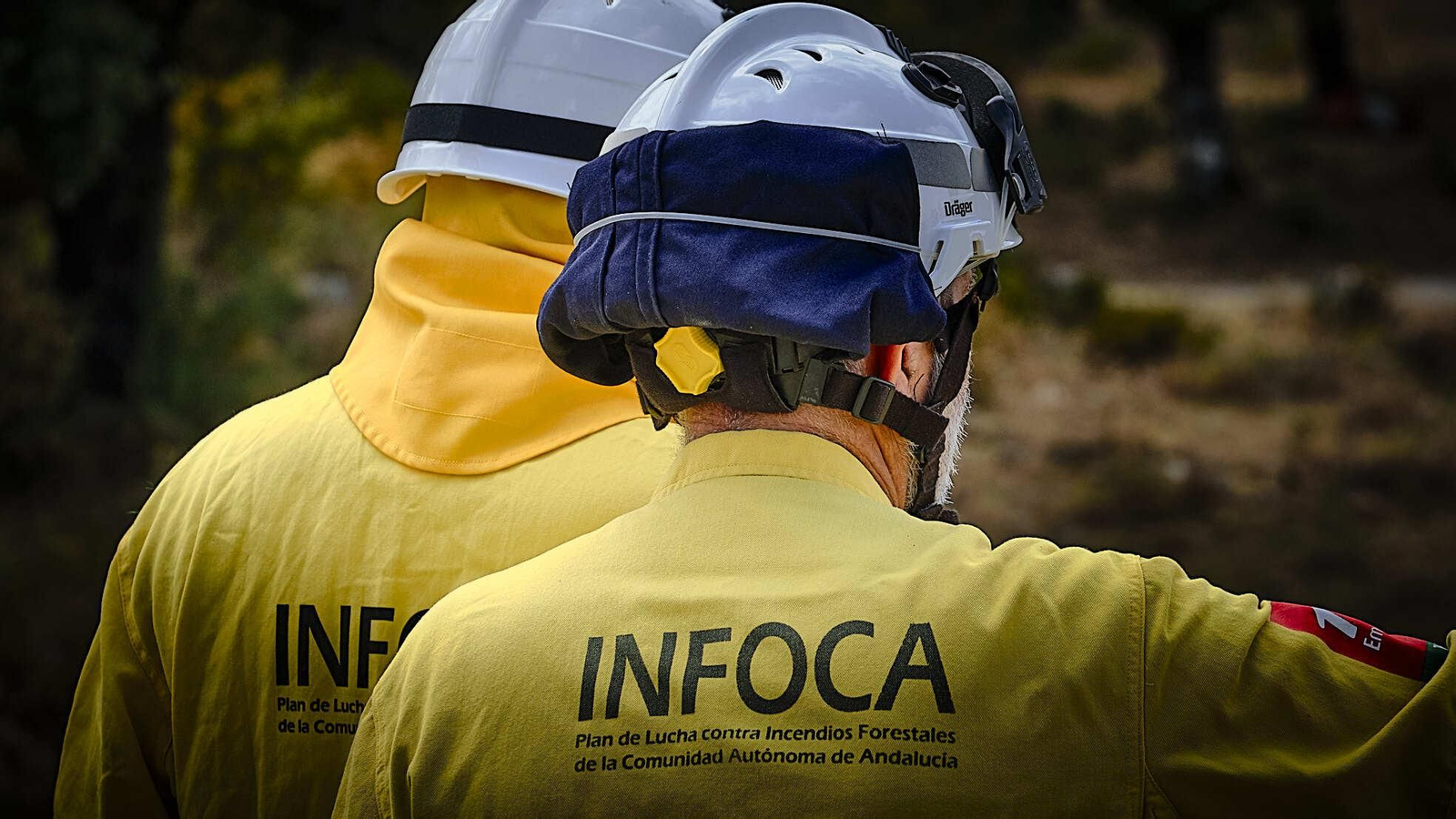 Una academia de Granada vendía falsos certificados para oposiciones del Infoca