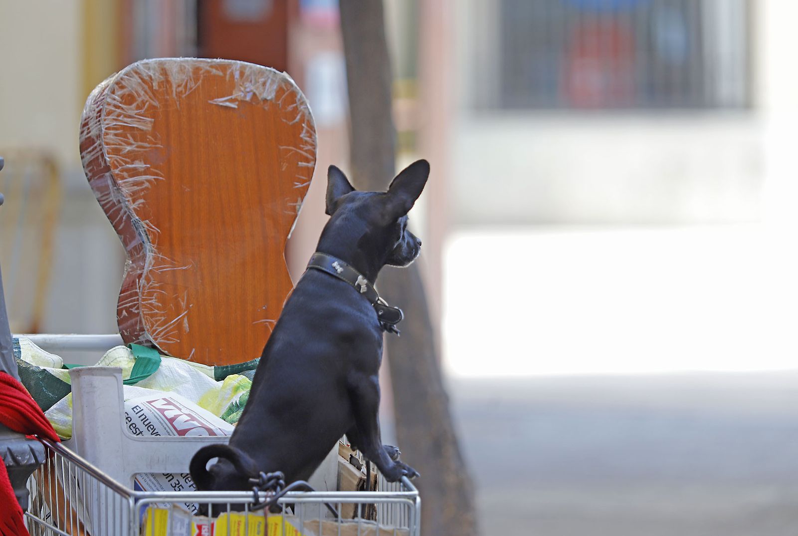 Las imágenes más destacadas del lunes 3 de julio en Huelva