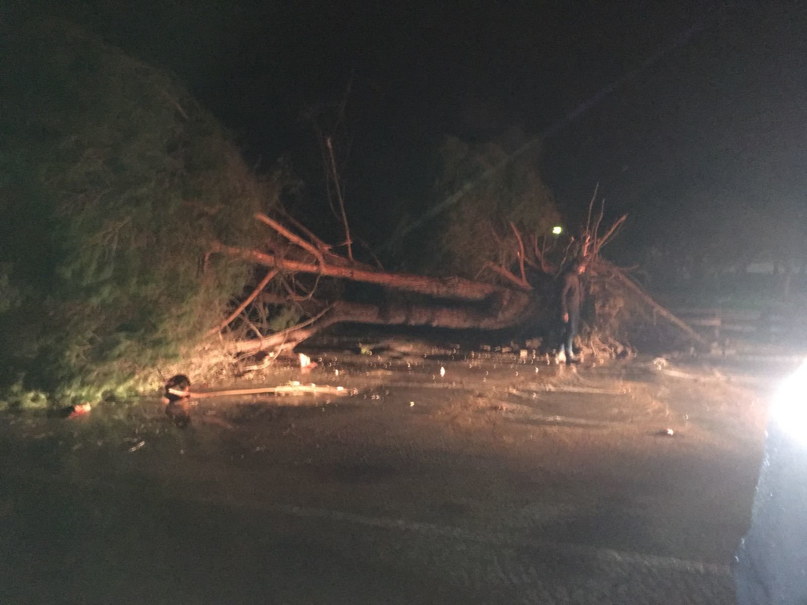 Un tornado causa estragos en Puerto Sherry