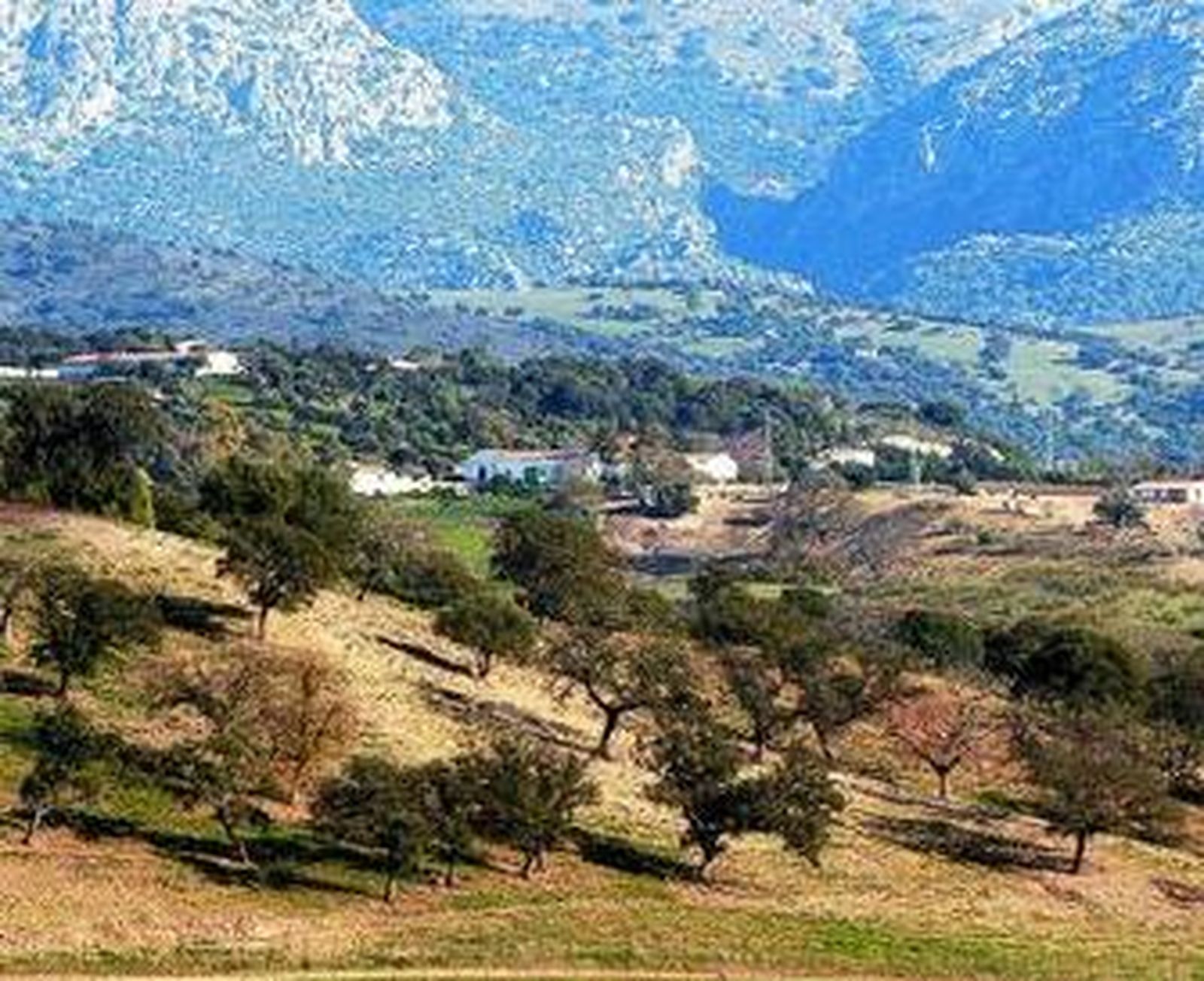 Panorámica de la golosa finca de El Imperio, tomada ayer.