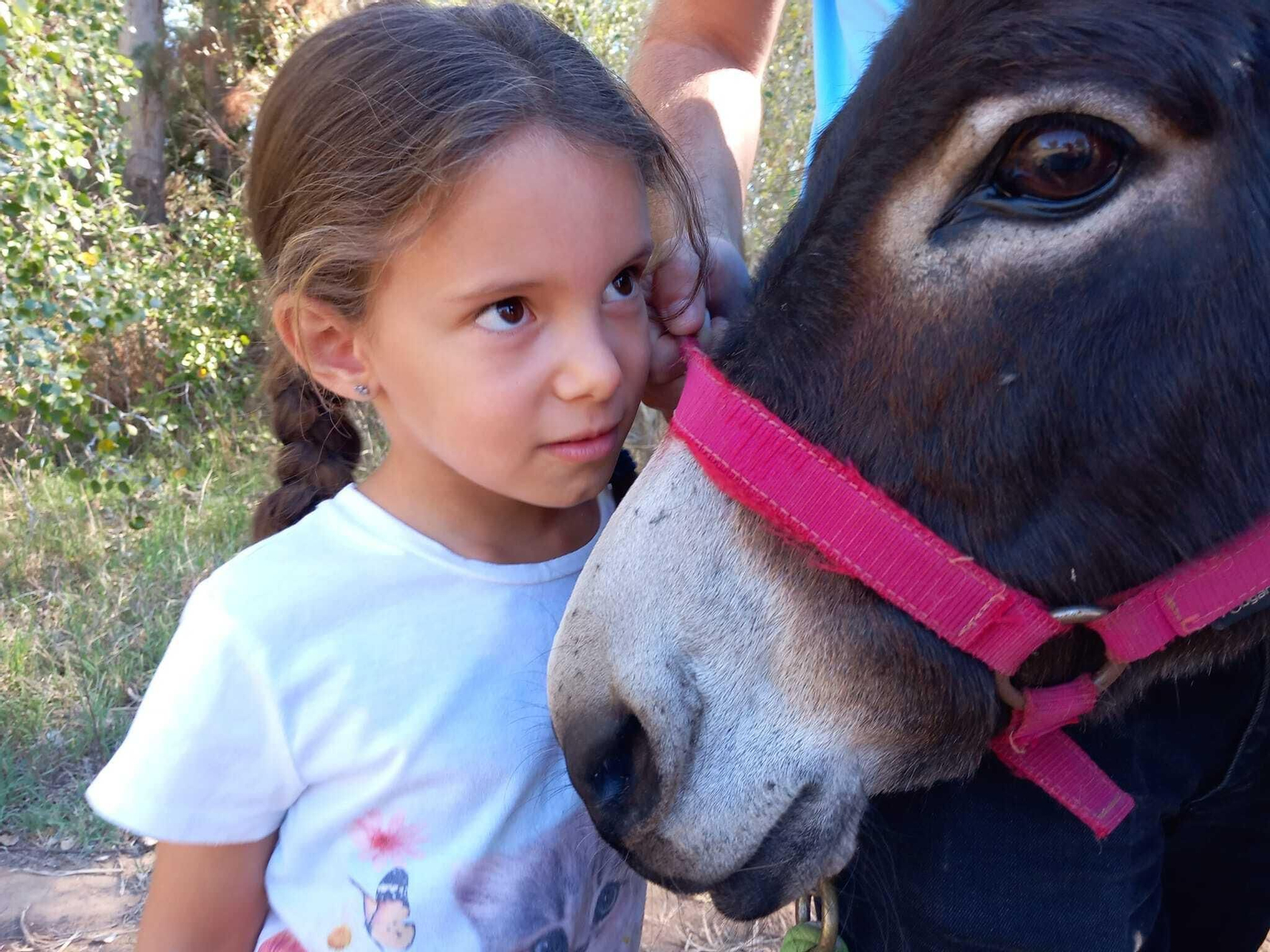 Pon un burrito en tu vida: un planazo en Huelva para disfrutar en familia