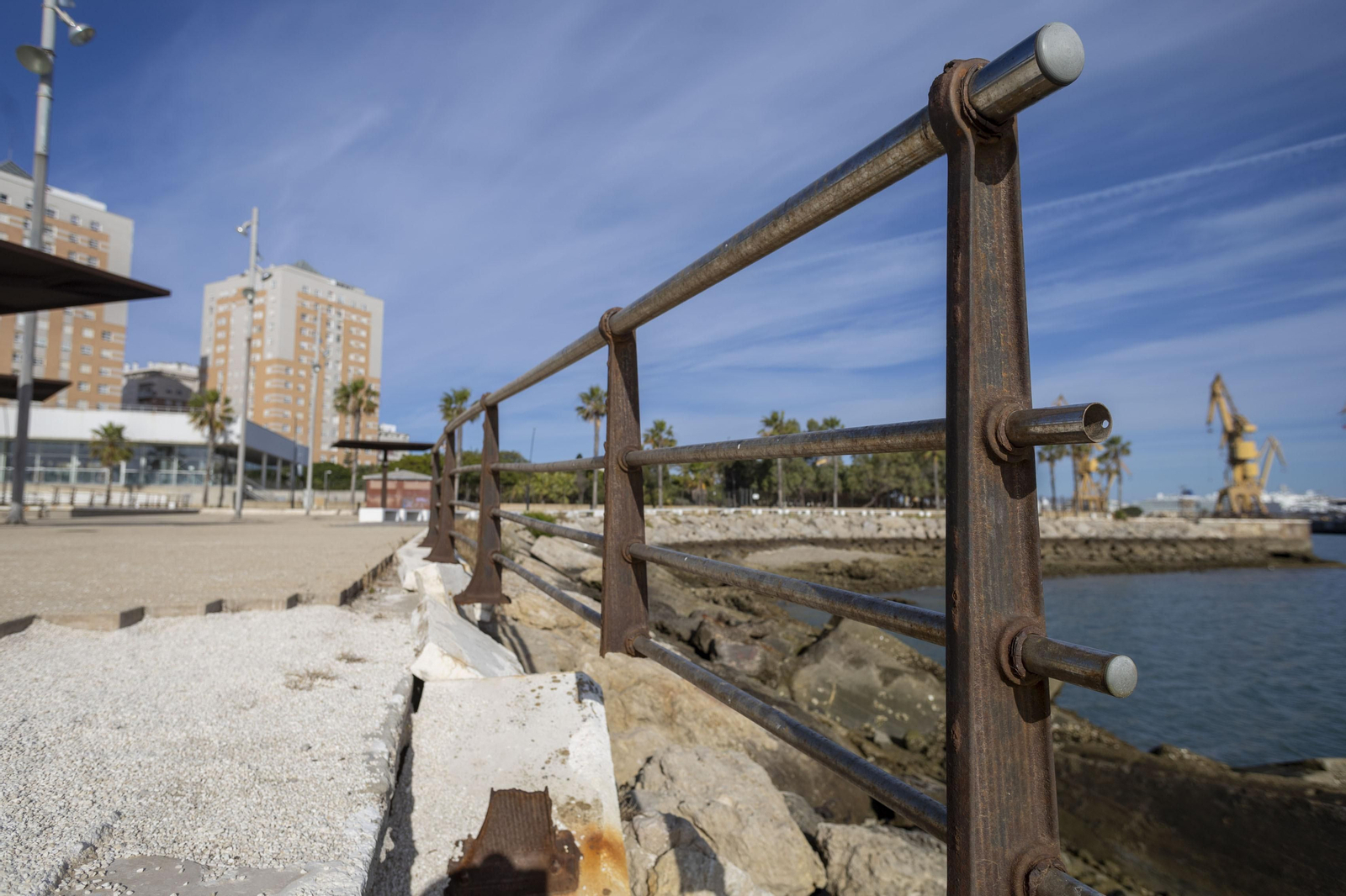 Las imágenes del mal estado de los paseos de Cádiz