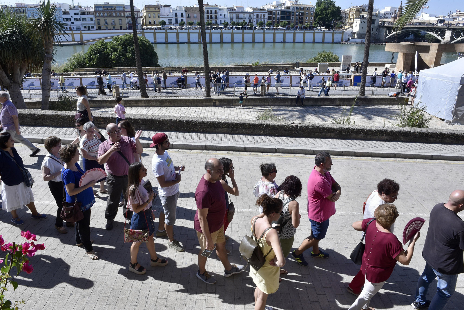 La barra de tapas más larga del mundo, en Sevilla