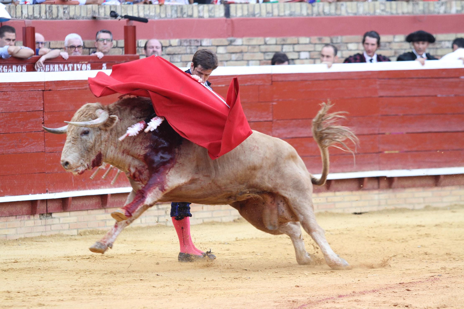 Imágenes de la corrida del Juli en La Merced