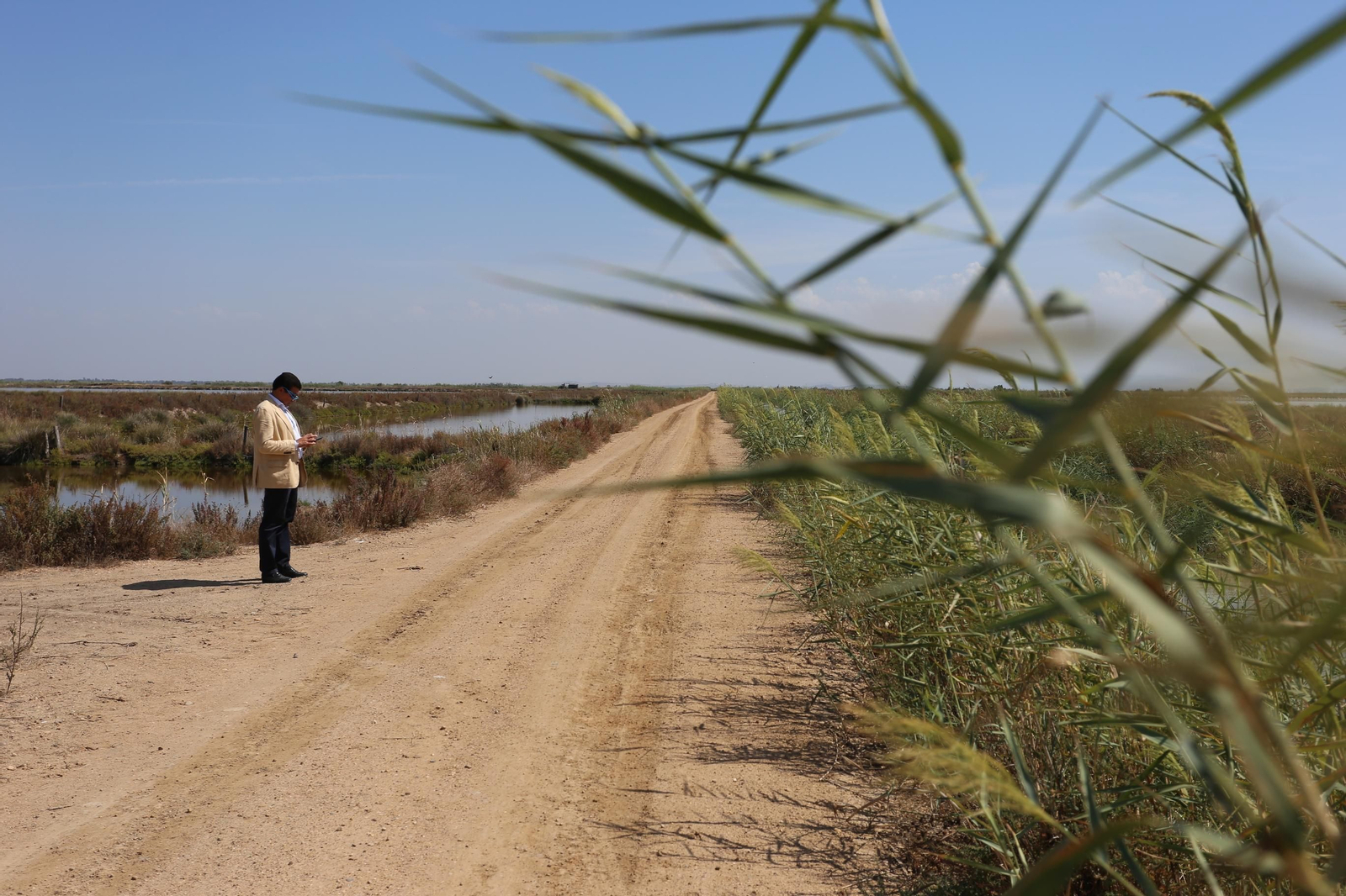 Dentro de la ruta del arroz en Sevilla: finca Veta la Palma