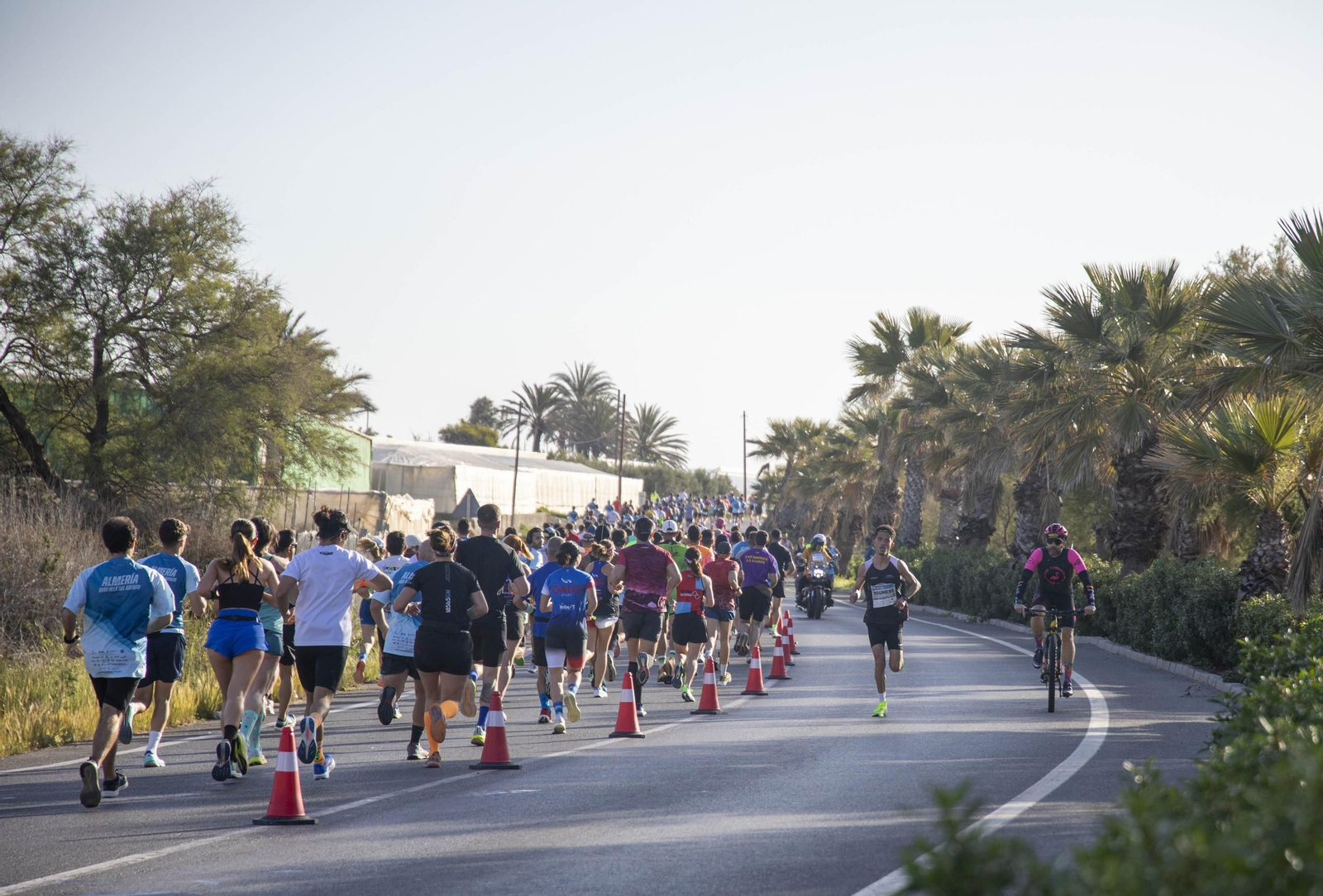 El Medio Maratón de Almería 2025, en imágenes
