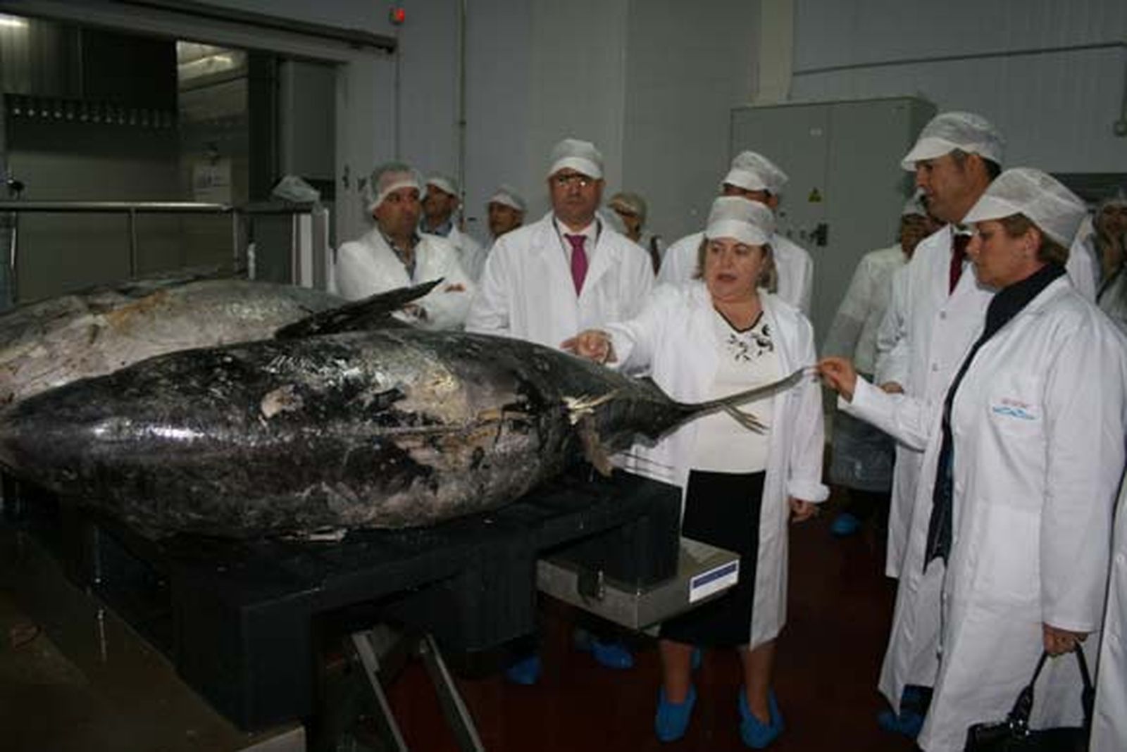 Clara Aguilera inaugura la nueva fábrica de salazones y conservas Herpac, en Barbate

Foto: Manuel Aragon Pina