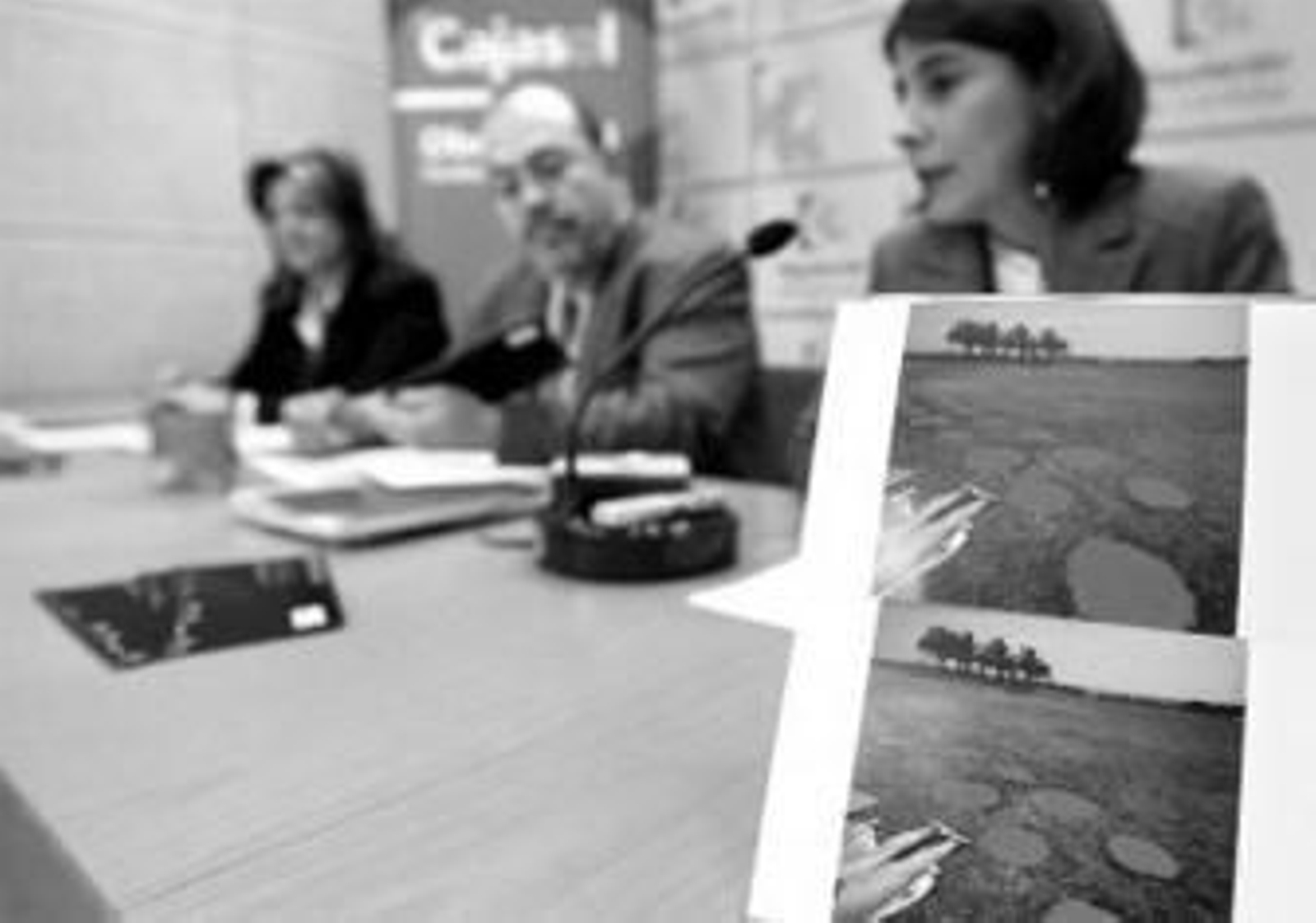 Presentación de la exposición ayer en la Diputación. Presentación de la exposición ayer en la Diputación.