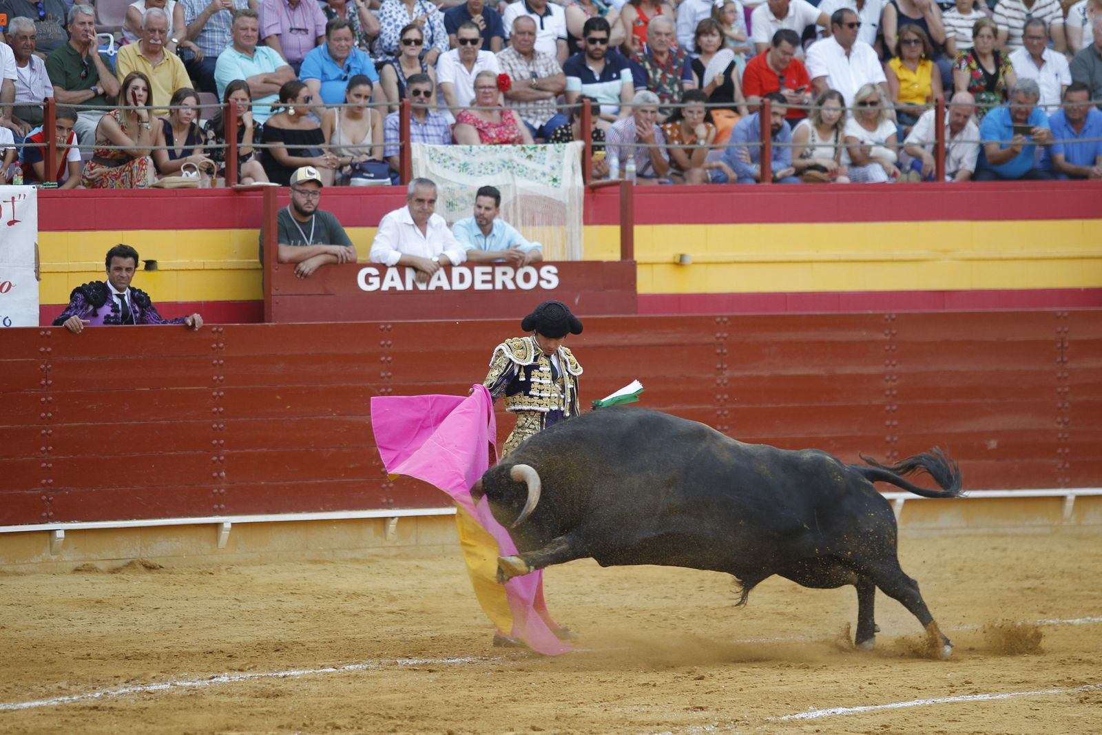 Fotogalería corrida de toros Roquetas de Mar. El Fandi, Castella, Cayetano.