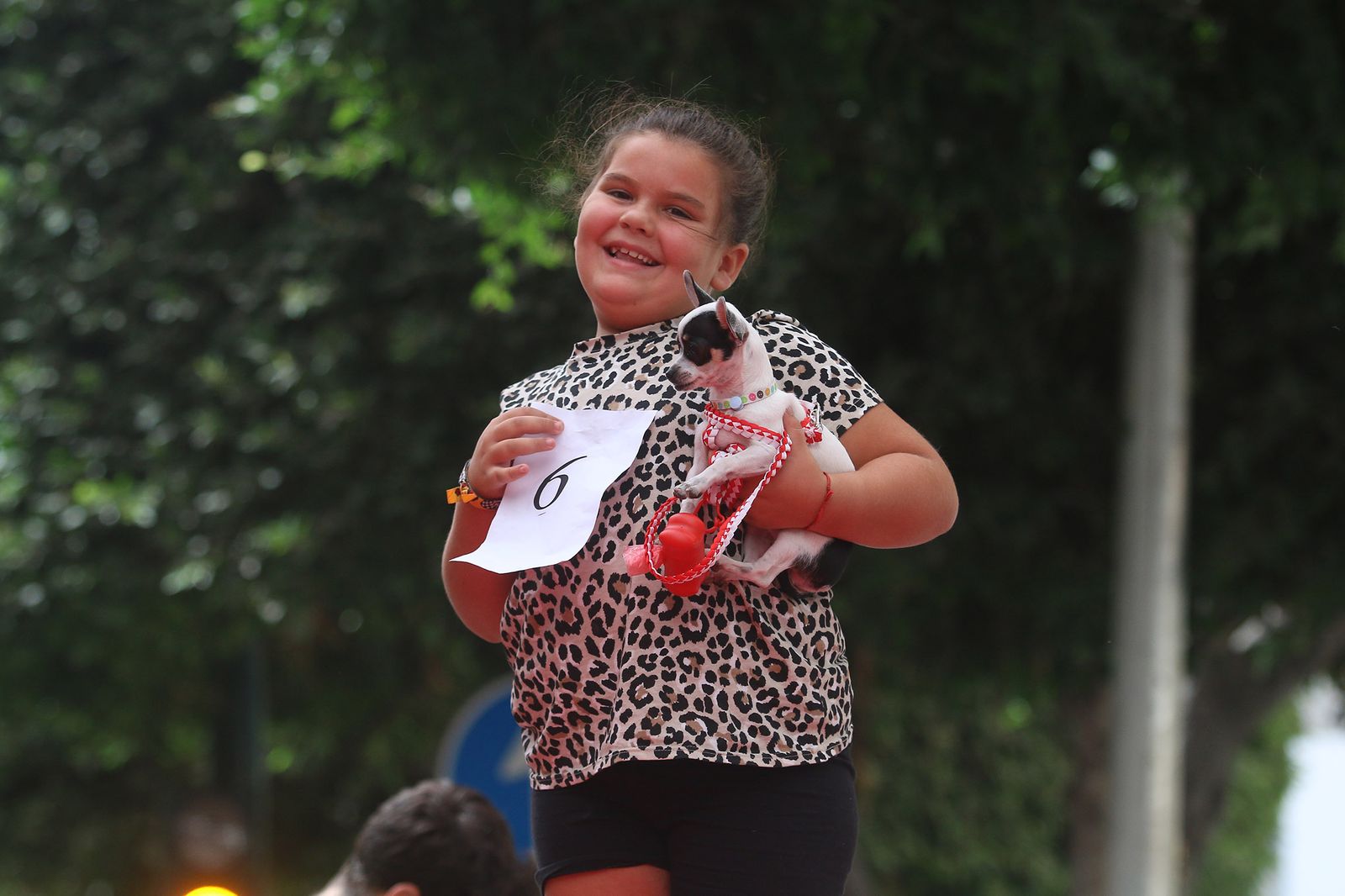 Fotogalería del concurso canino. Feria de Almería 2019