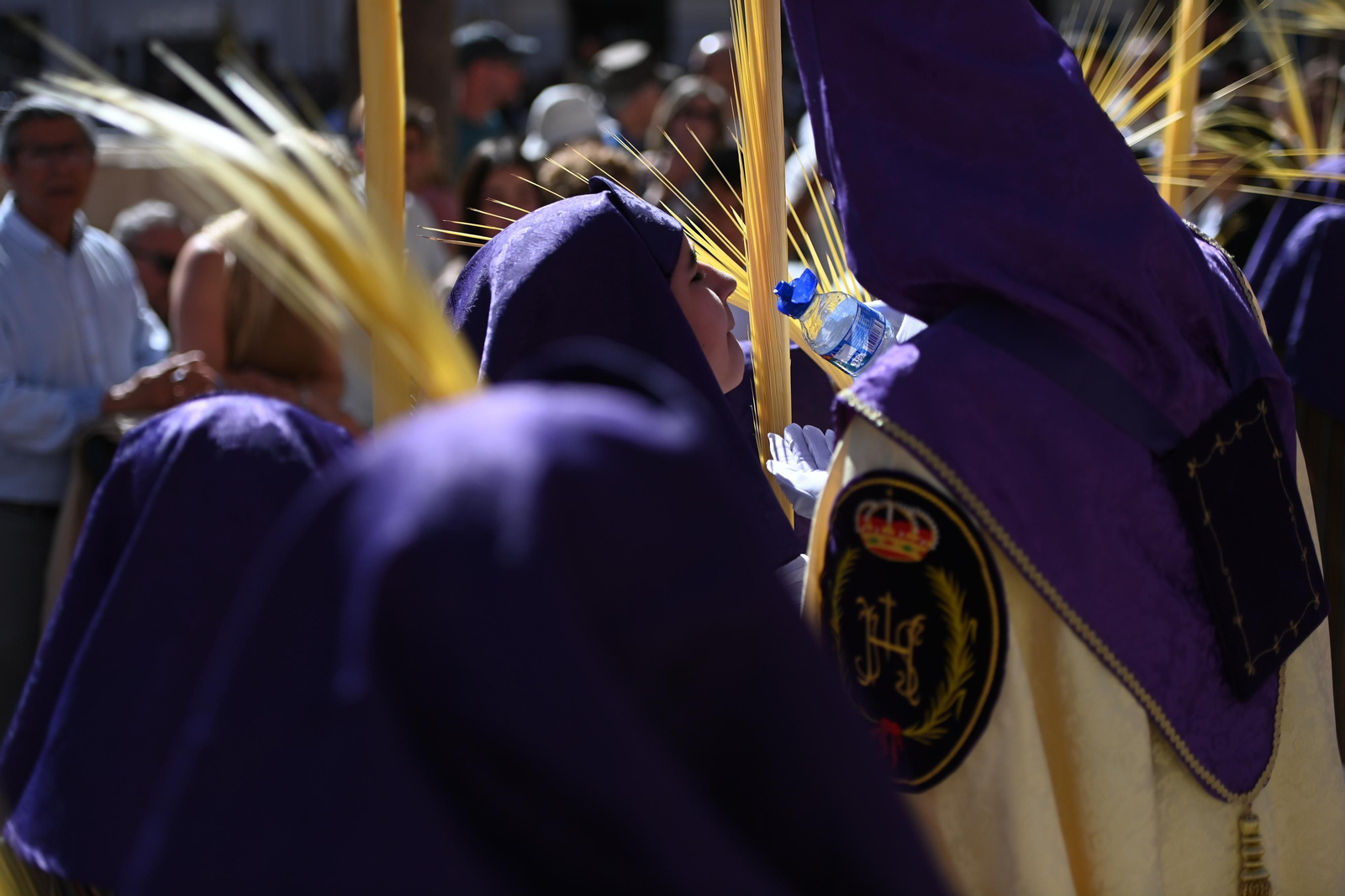 Las fotos de Pollinica en su procesión del Domingo de Ramos en Málaga
