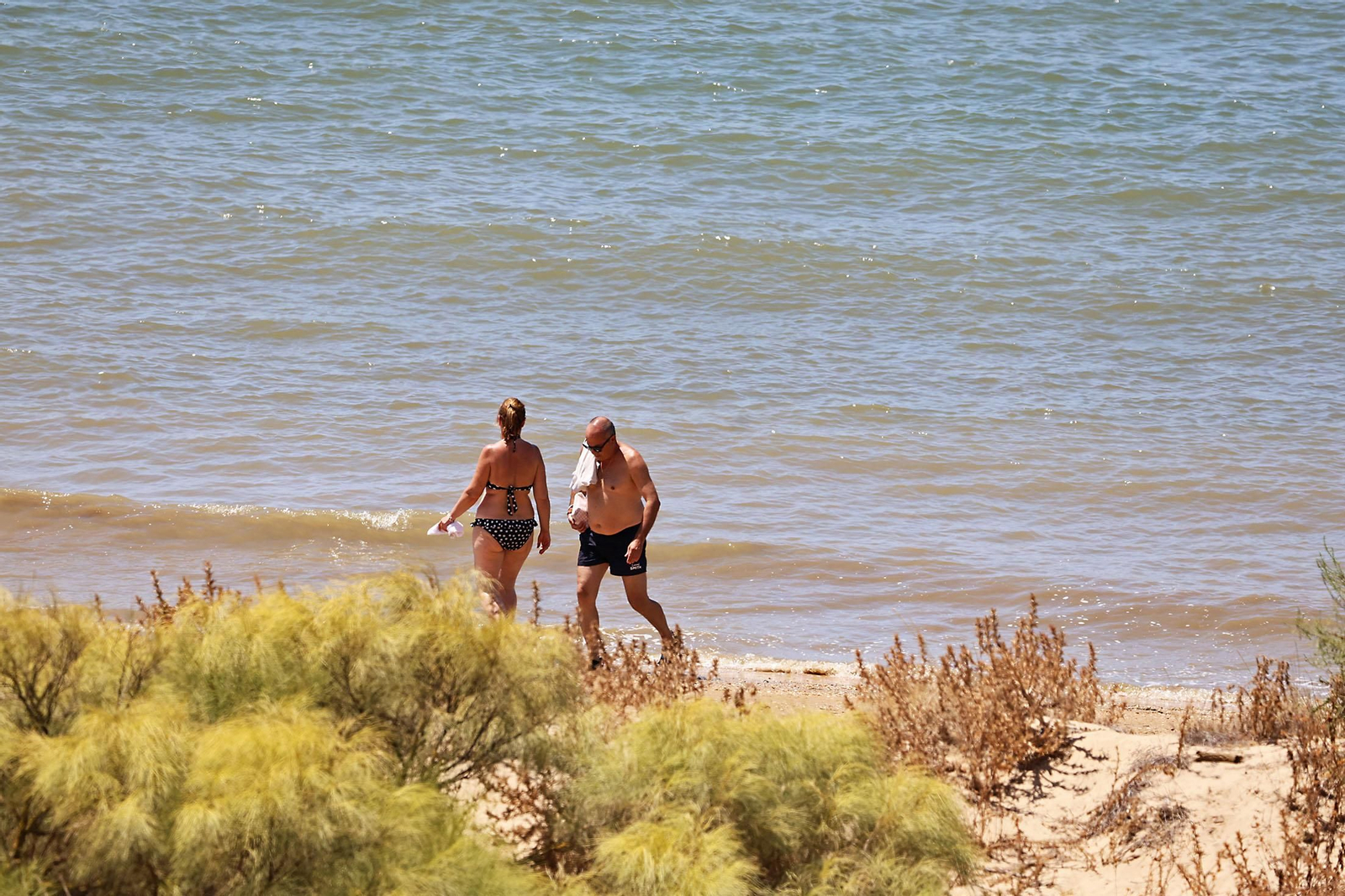 Las espectaculares vistas de la Flecha del Rompido desde el mirador de Nuevo Portil