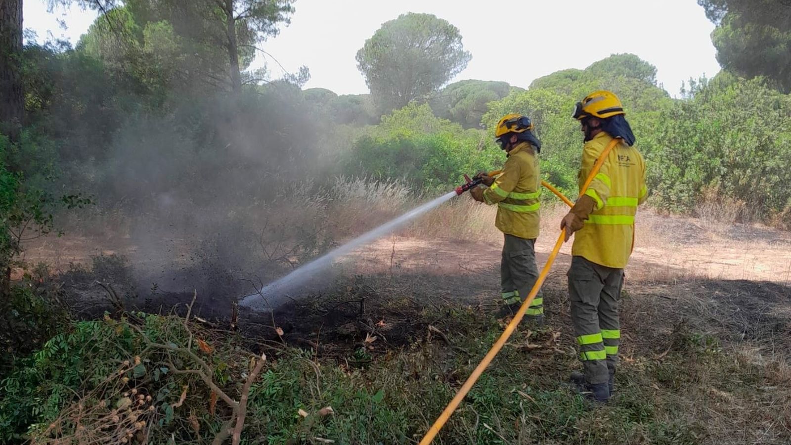 Efectivos del Plan Infoca en el incendio declarado en Puerto Real.
