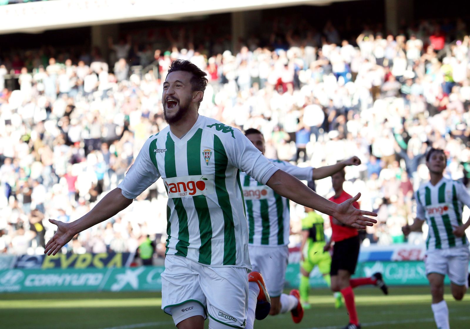 Las imágenes del Córdoba-Elche