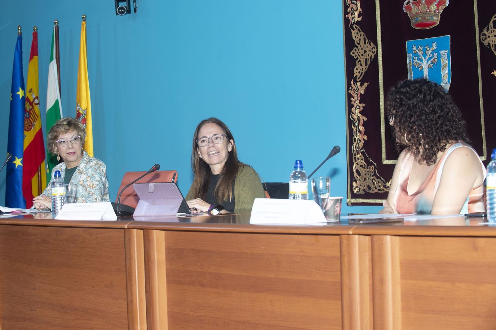 Carmen Collado, durante su intervención en las jornadas.