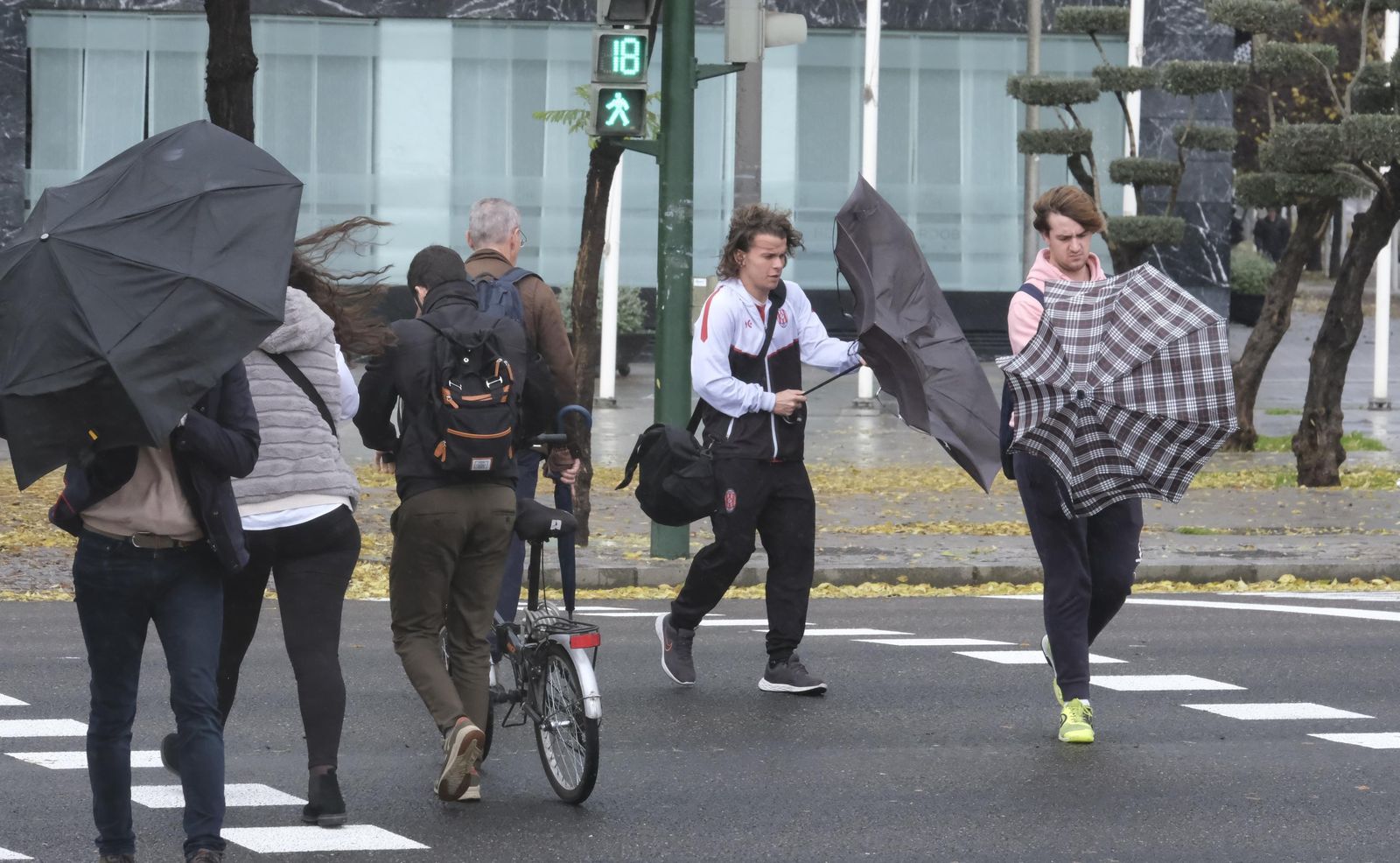 El paso de la borrasca Efraín por Córdoba, en imágenes