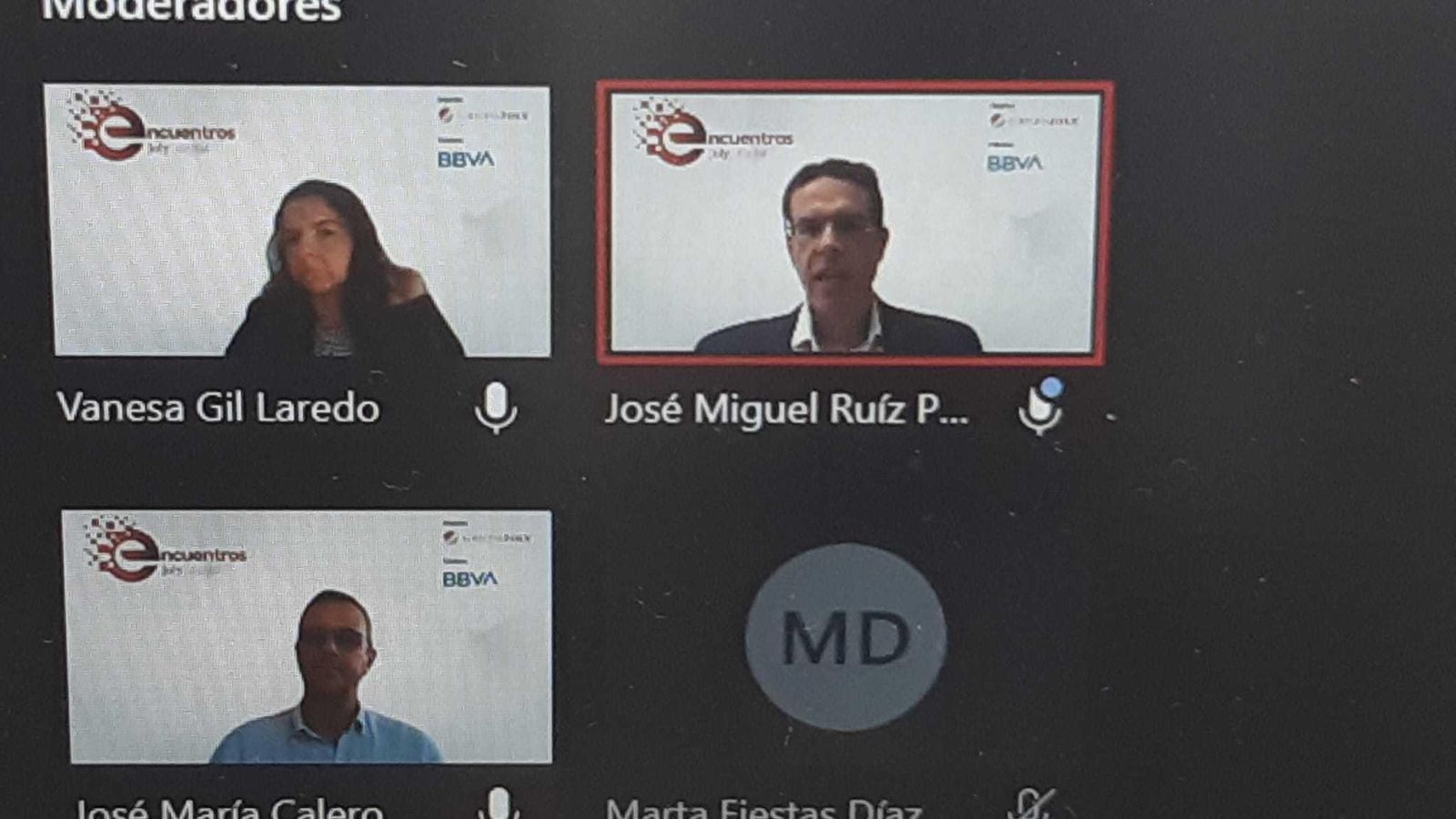 Imagen de los participantes en un momento del encuentro digital.