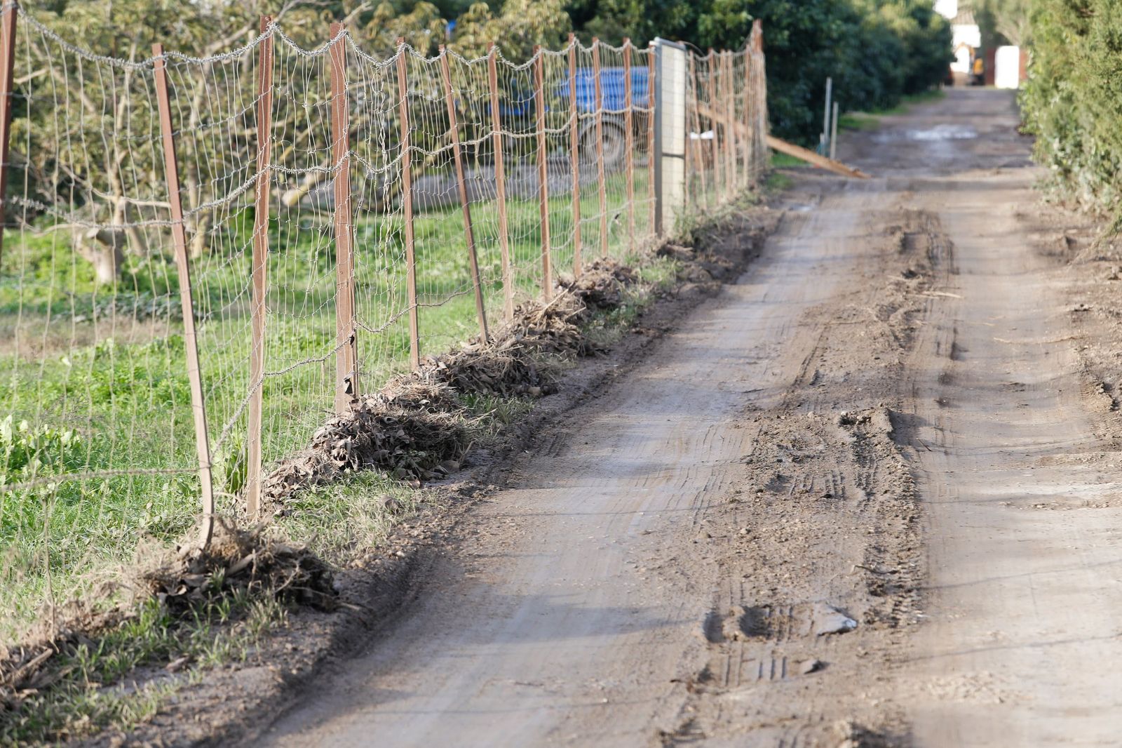 Fotos de las consecuencias de la borrasca Francis en Tesorillo y Jimena