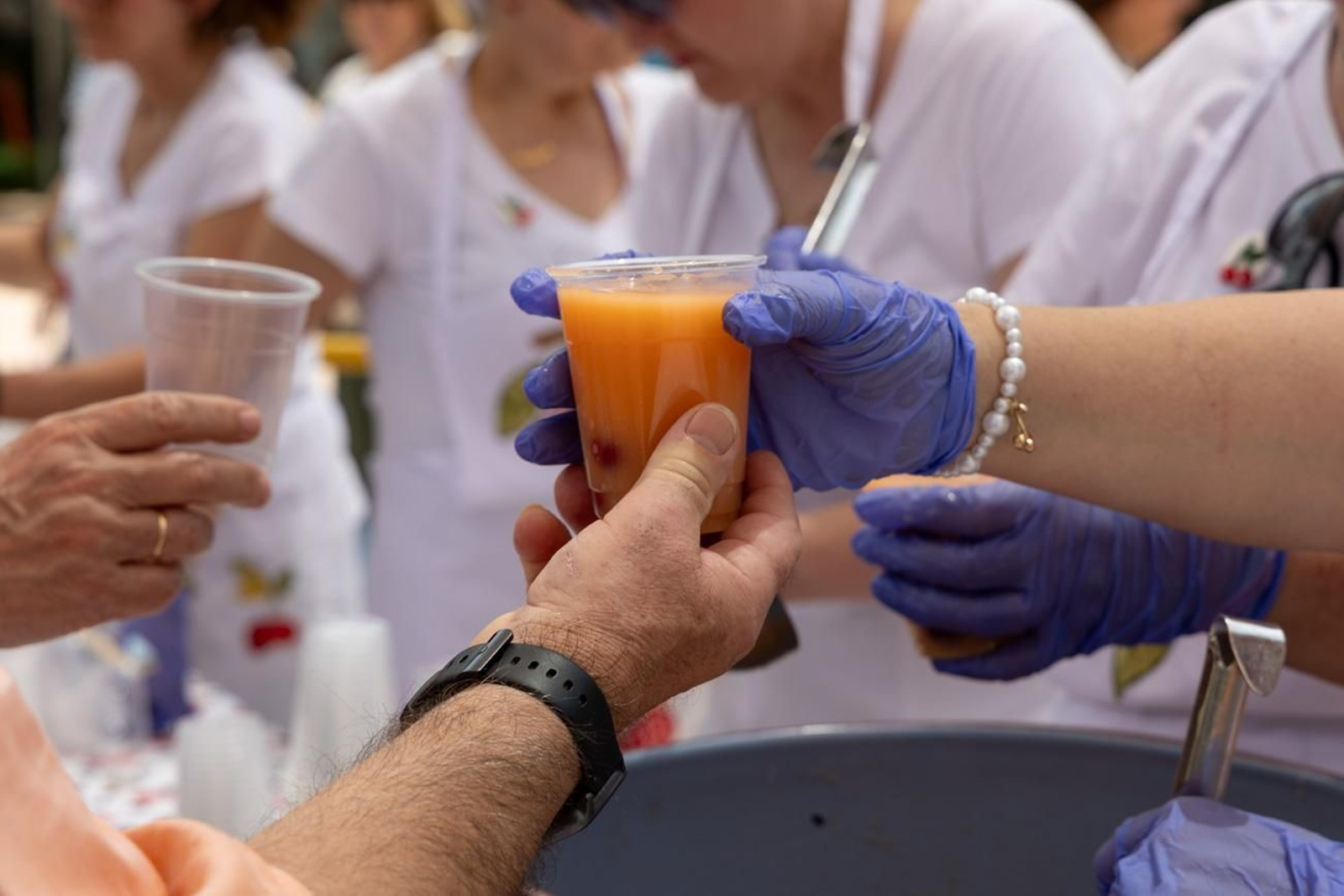 XL Fiesta de la Cereza del Castillo de Locubín