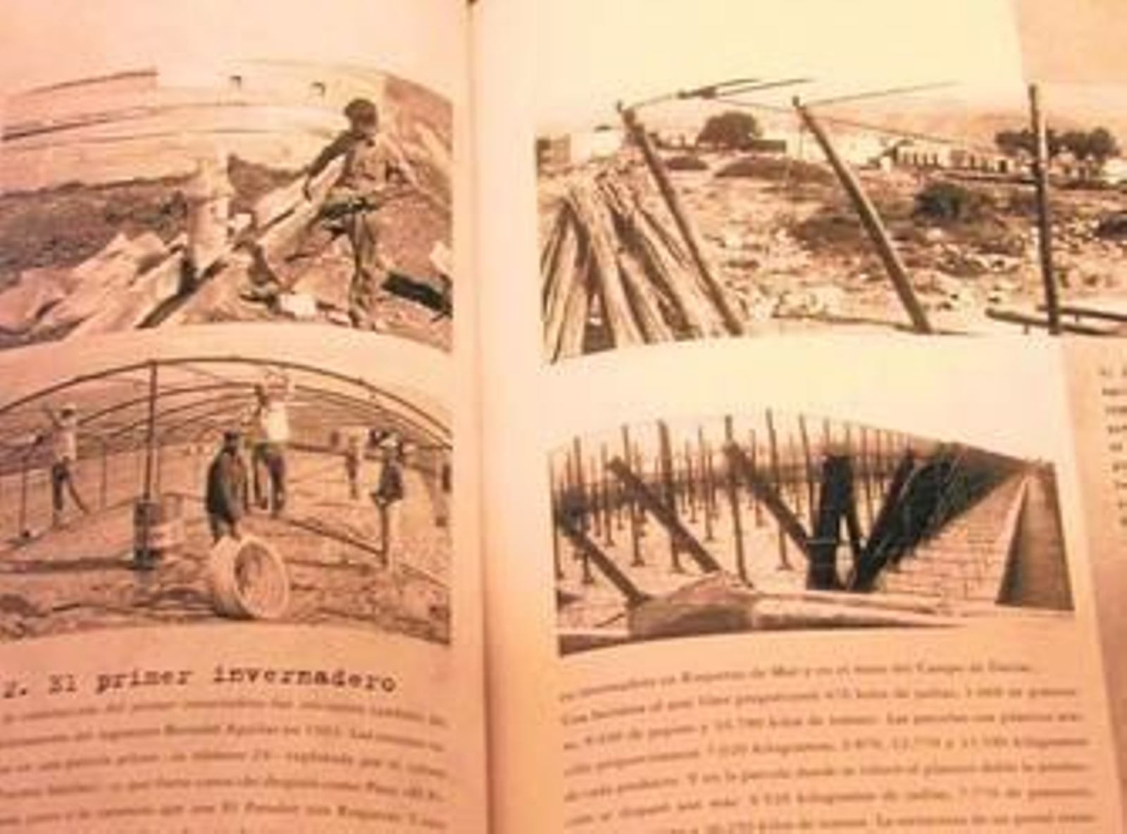 El primer invernadero cumplirá medio siglo el próximo año 2013