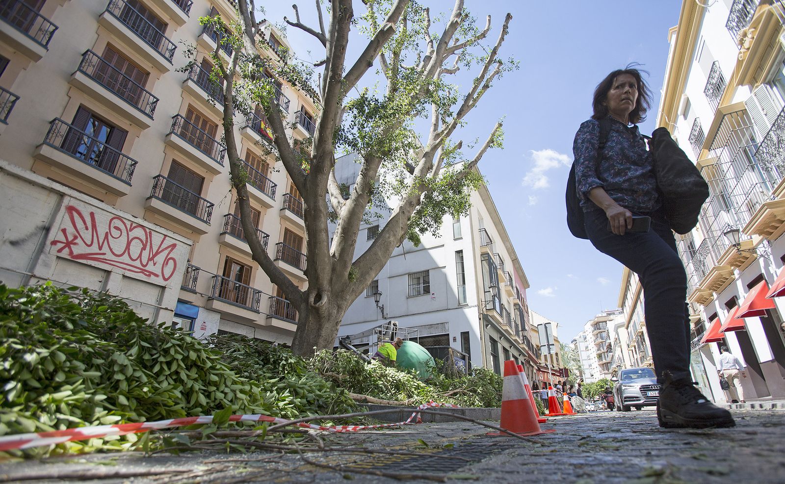 Poda del gran árbol de la calle San Pablo en el verano de 2018, cuando se podaron miles de árboles con gran polémica.