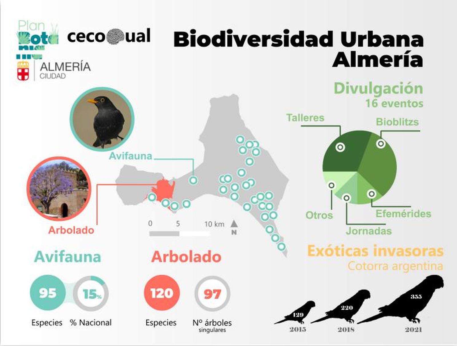 Adopta una cotorra en el Ayuntamiento para ayudar a controlar la invasión en la capital