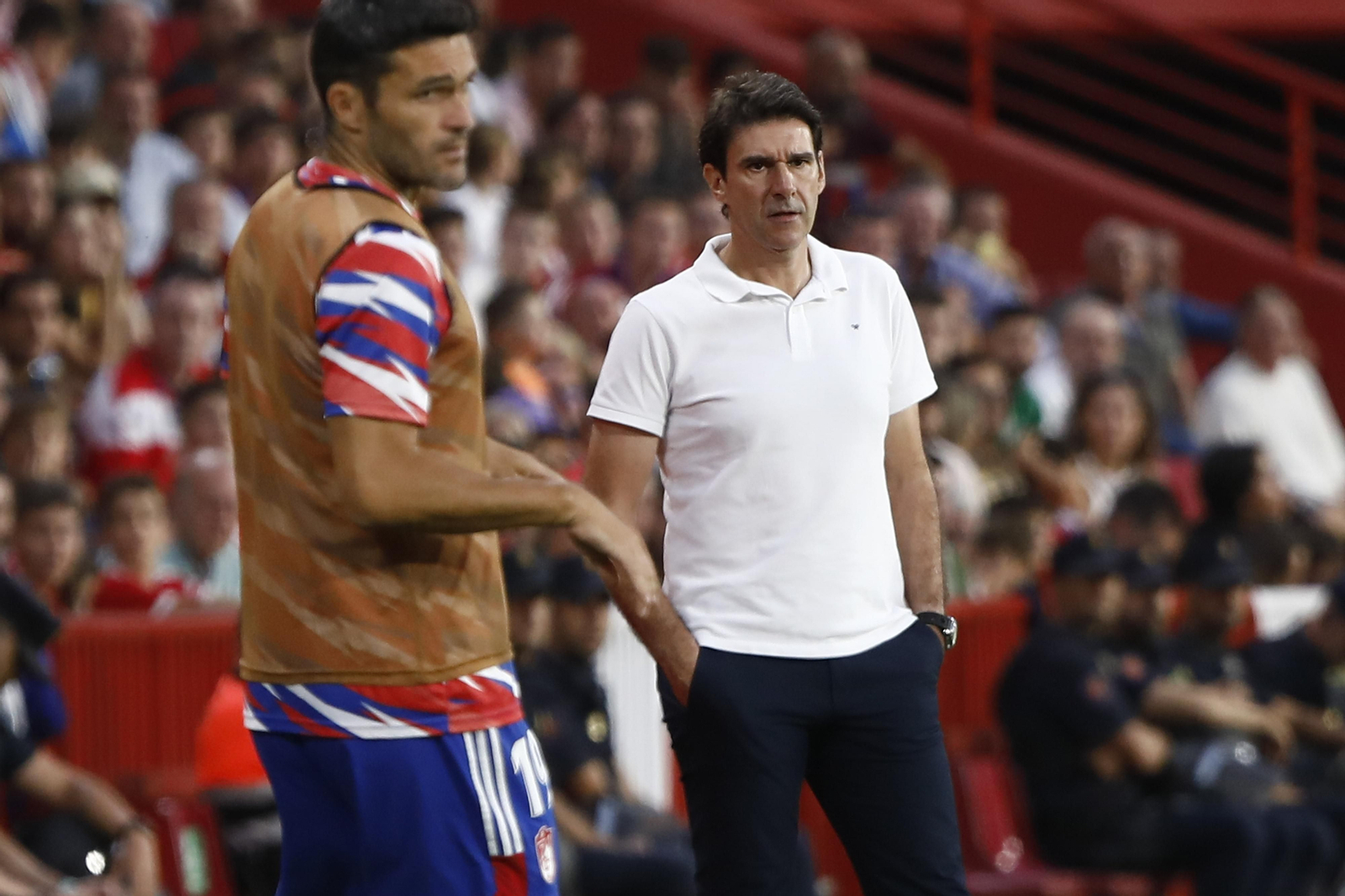 Karanka y Jorge Molina, en la banda, en el partido de este domingo