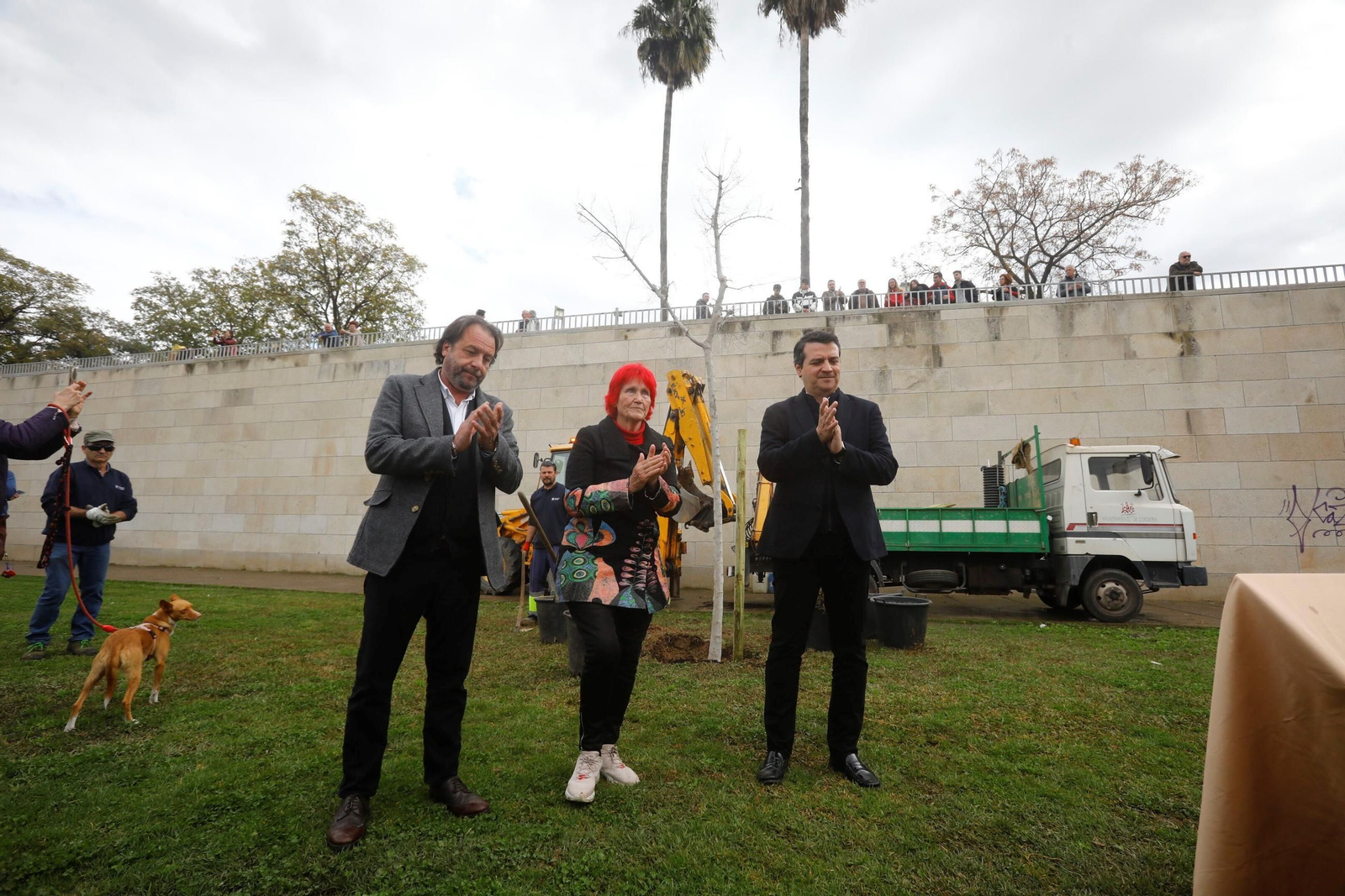 El árbol que siempre recordará a Pepe Larios en Córdoba, en imágenes
